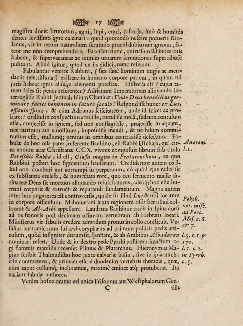 *7 magidra docet brutorum, agni, lupi, equi, cadoris, imo & hominis dentes leviilimo igne calcinari : quod quomodo nefeire potuerit Rio- lanus, vir in rerum naturalium ferutinio procul dubio non ignavus, fa¬ teor me non comprehendere. Faceflantnunc,quinafumRhinocerotis habent, & fupervacaneas ac inutiles urnarum ferutationes fuperciliofe judicant. Aliud igitur, quod ex iis didici,nunc referam. Fabulantur veteres Rabbini, ( faex fane hominum nugis ac men¬ daciis refertifliina ) exiftere in humano corpore partem , in quam nii juris habeat ignis aliufye elementi poteftas. Hidoria cd (cujus ta¬ men fides fit penes referentes) Adrianum Imperatorem aliquando in- terrogaffe Rabbi Jeofuah filium Chaninae: Unde Deus benedittusger¬ minare faciet hominem in futuro fe culo ? Refpondidehunc: ex Lus, ' Ojficulo Jfpina : & cum Adrianus feifeitaretur, unde id fciret ac pro-» baret ? os illud in confpedum attulifle, tutudtfle mola, fed non contufum ede , conjecifle in ignem, fed non conflagrade , projecide in aquam, nec attritum aut emollitum, impofuide incudi , & ne hilum commi¬ nutum ede, nullumq; penitus in omnibus contraxide defedum. Fa¬ bulae de hoc ode pater,referenteRauhino,eftRabbiUfchaja,qui cir~ a^natom. ca annum xtx Chridianae CCX. vivens compofuit librum fub titulo Berefchit Rabba , id eft, Glojfa magna in Pentateuchum , ex quo Rabbini poderi hoc figmentum hauferunt. Crediderunt autem os i!* lud non comburi aut corrumpi in perpetuum, eo quod ejus radix fit ex fubdantia cceledi, & humedata rore, quo ceu fermento mada* fa¬ rinacea* Deus fit mortuos aliquando refufcitaturus,adeocphoc ede hu¬ mani corporis & extrudi & reparandi fundamentum. Magna autem inter hos nugatores ed controverfia, quale fit illud Lus dc ubi locatum « ? # in corpore odiculum. Mahometani juxta regionem olfis facri illud coi- locant & Al-j4ibi appellant. Laudatus Eauhinus tradit in fpinadorh a^pQ ~ ' ad os femoris pod decimam odavam vertebram ab Hebraeis locari, j^0/°r ^ Miinderus vir fabulis credere admodum pronus in collo condituit. Ve- '*c' ' falius anatomicorum fui aevi coryphaeus ad primum pollicis pedis arti- culum, quod infigniter durum fit, fpedare, & ab Arabibus Albadaran L j. c.i.p' nominari refert. Unde & in dextro pede Pyrrhi pollicem intadum ro- 170. gi flammis manfifle recenfet Plinius & Plutarchus. Hieronymus Ma- /.7. c.i, gius feribit Thalmudidas hoc juxta calvaris bafin , five in ipfa nucha in Pyrrk* effe commentos, & primam efle e duodecim vertebris thoracis , qua*, c. j, cum caput collumq; inclinamus, maxime eminet atq; protuberat, Ita variant fabulae authores. Verum hofce omnes vel unica Frifonum autWefiphalorum Gen- C , ' tilis \