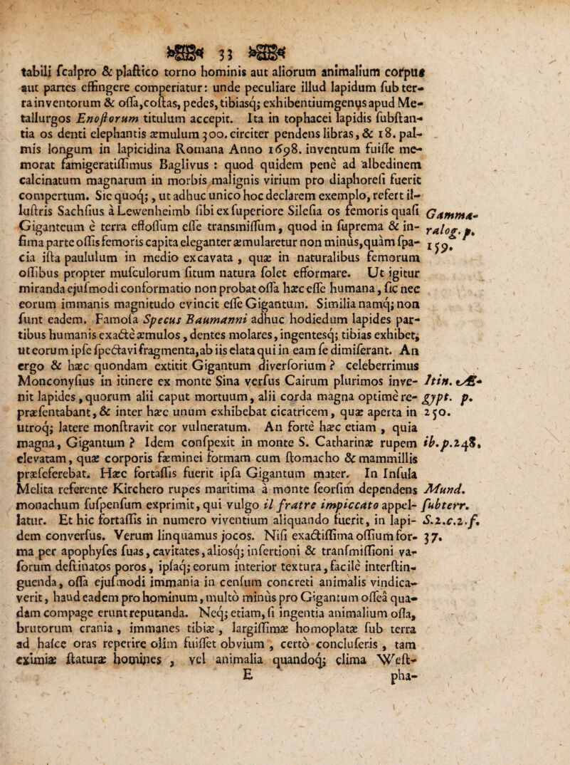3? *aa< tabili fcalpro 5«: plaftico torno hominis aut aliorum animalium cofpllf aut panes effingere comperiatur: unde peculiare illud lapidum fubter¬ ra in ventorum & ofla,coftas, pedes, tibiasq; exhibentiumgen^sapud Me- tallurgos Enoftorum titulum accepit. Ita in tophacei lapidis fubftan- tia os denti elephantis temulum 300. circiter pendens libras, & 18. pal- _ mis longum in lapicidina Romana Anno 1698. inventum fuiile me¬ morat famigeratiffimus Baglivus : quod quidem pene ad albedinem calcinatum magnarum in morbis malignis virium pro diaphorefi fuerit compertum. Sic quoq;, ut adhuc unico hoc declarem exemplo, refert il- luftris Sachlius aLewenheimb hbi ex fuperiore Silefia os femoris quali Gamma* Giganteum e terra eftoflhm efle transmiffium, quod in fuprema & in- ral0g.g, fima parte offis femoris capita eleganter aemularetur non minus,quam fpa- z F cia ifta paululum in medio excavata , quse in naturalibus femorum oflibus propter mufculorum (itum natura folet efformare. Ut igitur miranda ejufmodi conformatio non probat ofla hsecefle humana, fic nec eorum immanis magnitudo evincit efle Gigantum. Similia namq; non funt eadem. Famofa Specus Baumanni adhuc hodiedum lapides par¬ tibus humanis exad:ea:mulos, dentes molares, ingentesq; tibias exhibet* meorumipfefpe6iavifragmenta,abiiselataquiin eamfedimiferant. An ergo & nase quondam extitit Gigantum diverforium ? celeberrimus Monconyfius in itinere ex monte Sina yerfus Cairum plurimos inve- hin, nit lapides, quorum alii caput mortuum , alii corda magna optime re- gypt* p» prasfentabant,& inter hxc unum exhibebat cicatricem, qua* aperta in 250. utroq; latere monftravit cor vulneratum. An forte ha?c etiam , quia magna, Gigantum ? Idem confpexit in monte S. Catharinae rupem tb.p.1^%% elevatam, quae corporis feminei formam cum ftomacho & mammillis praefeferebat. Haec fortaffis fuerit ipfa Gigantum mater. In Infula Melita referente Kirchero rupes maritima a monte feorfim dependens Mund. monachum fufpenfum exprimit, qui vulgo il fratre itnpiccato appel- fubterr. latur. Et hic fortaffis in numero viventium aliquando luerit, in lapi- $>z,c,z.f dem converfus* Verum linquamus jocos. Nifi exadiffimaoffiurtifor- 37. ma per apophyfes fuas,cavitates,aliosq; infertioni & tranfmiffioni va- forum deftinatos poros, ipfaq;eorum interior textura, facile interftin- guenda, offa ejufmodi immania in cenlum concreti animalis vindica- verit, haud eadem pro hominum, multo miniis pro Gigantum oflea qua¬ dam compage erunt reputanda. Neq; etiam, fi ingentia animalium olla, brutorum crania, immanes tibiae , largiffimas homoplatse fub terra ad halce oras reperire ojim fuiffet obvium , certo concluferis , tam eximias flaturas hotnffies , vel animalia quandoqj clima Weft- E pha- \