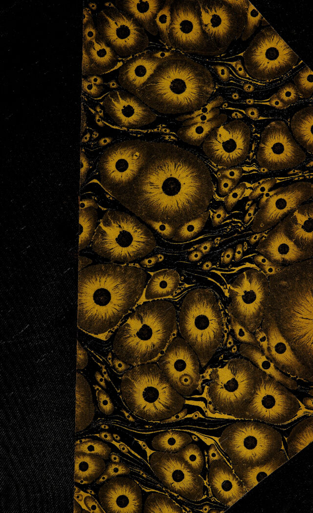digitised image 1