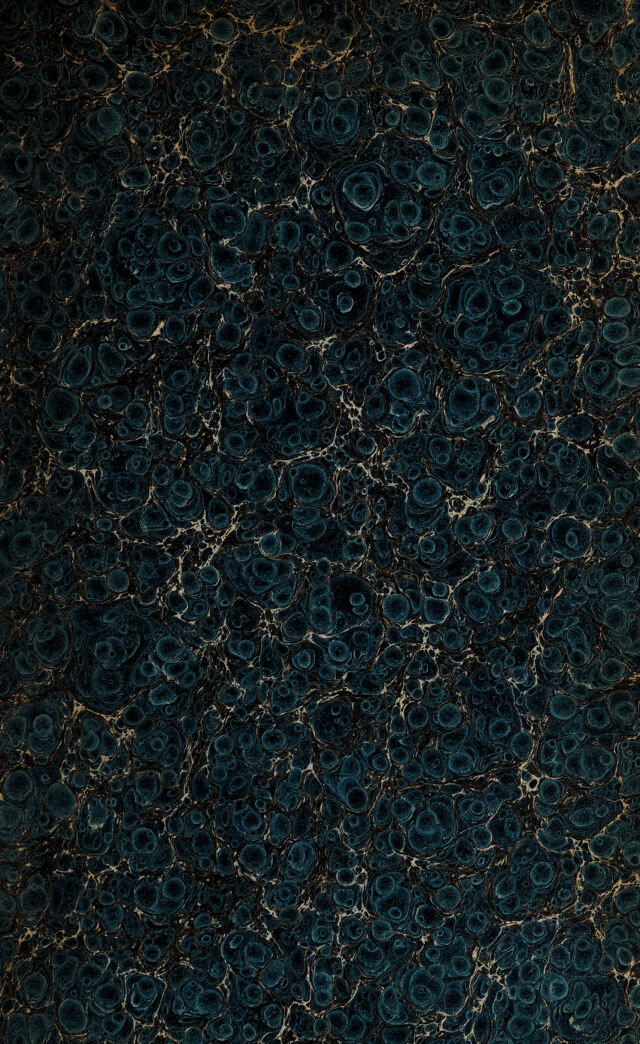 digitised image 3