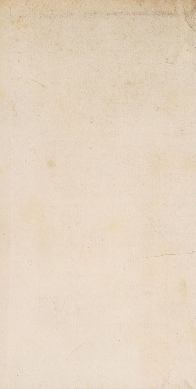 ' -•'* - : Y-’ /- . * t A