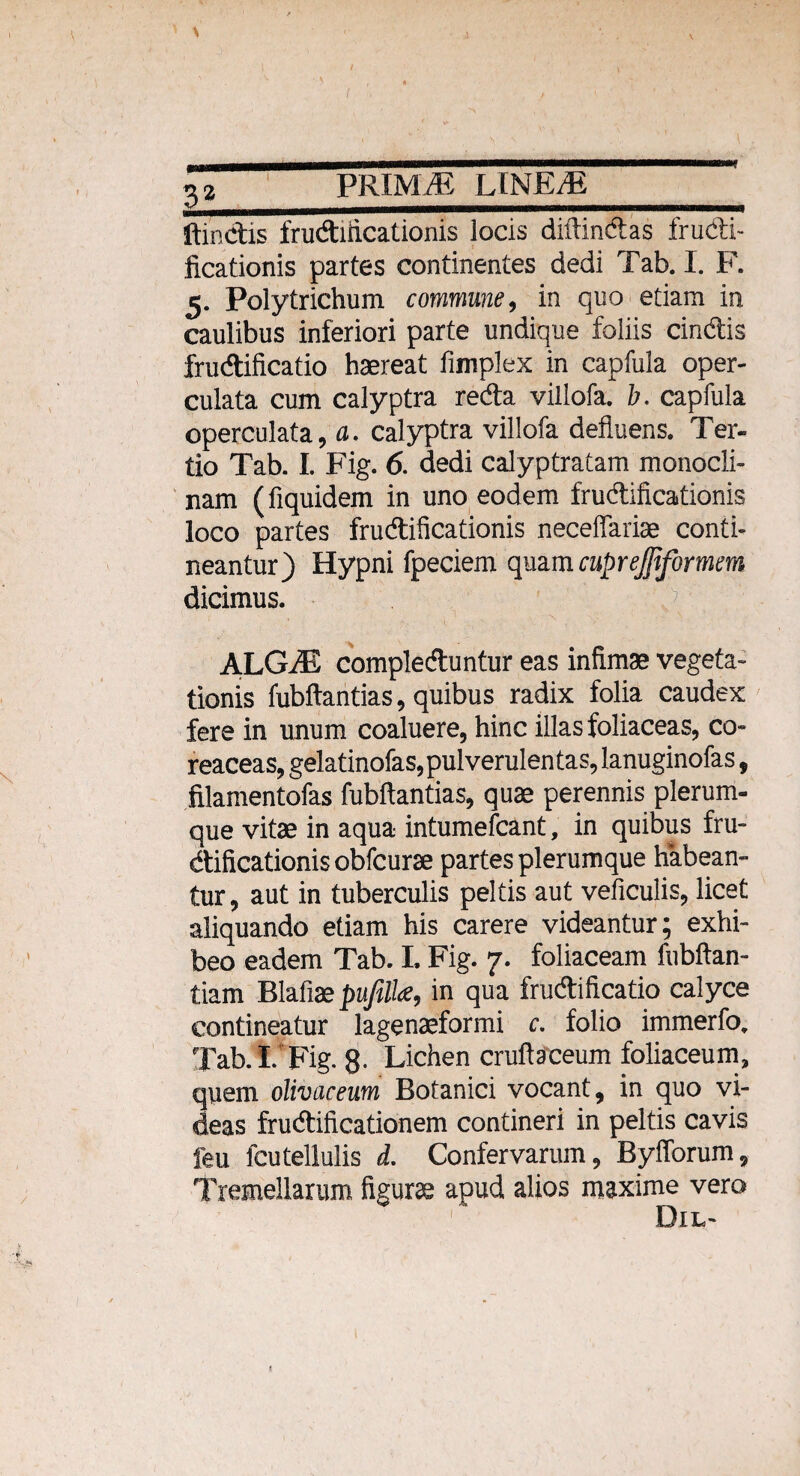 \ 3 2 PRIM./B LINEAE ftindis frudificationis locis diffindas frudi¬ ficationis partes continentes dedi Tab. I. F. 5. Polytrichum commune, in quo etiam in caulibus inferiori parte undique foliis cindis frudificatio haereat fimplex in capfula oper¬ culata cum calyptra reda villofa. b. capfula operculata, a. calyptra villofa defluens. Ter¬ tio Tab. I. Fig. 6. dedi calyptratam monocli- nam (fiquidem in uno eodem frudificationis loco partes frudificationis neceffariae conti¬ neantur) Hypni fpeciem qnamcuprejfiformem dicimus. ALGM compleduntur eas infimae vegeta¬ tionis fubftantias, quibus radix folia caudex fere in unum coaluere, hinc illas foliaceas, co- reaceas, gelatinofas, pul verulen tas, lanuginofas, filamentofas fubftantias, quae perennis plerum¬ que vitae in aqua intumefcant, in quibus fru¬ dificationis obfcurae partes plerumque habean¬ tur , aut in tuberculis peltis aut veficulis, licet aliquando etiam his carere videantur; exhi¬ beo eadem Tab. I. Fig. 7. foliaceam fubftan- tiam Blafiae pujill<e, in qua frudificatio calyce contineatur lagenaeformi c. folio immerfo, Tab. L Fig. g. Lichen cruftaceum foliaceum, quem olivaceum Botanici vocant, in quo vi¬ deas frudificationem contineri in peltis cavis feu fcutellulis d. Confervarum, Byfforum, Tremellarum figurae apud alios maxime vero OlL-