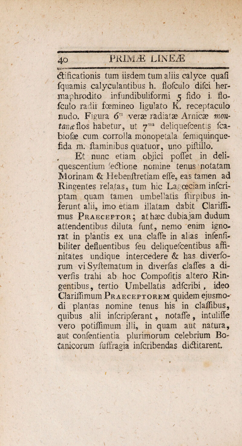 / 40 PRIMiE LINE/E 'r «nir irrranrsTXflMnHuiii iiiini^niwutiM m dificationis tum iisdem tum aliis calyce quafi fquamis calyculantibus h. fiofculo difci her¬ maphrodito infundibuliformi 5 fido i. fio¬ fculo radii foemineo ligulato K, receptaculo nudo. Figura 6ca vera; radiatas Arnicae mon¬ tana flos habetur, ut yma deliquefcentis fca- biofae cum corrolla monopetala fenuquinque- fida m. flaminibus quatuor, uno piftillo. , Et nunc etiam objici poffet in deli¬ quescentium 'edione nomine tenus'notatam Morinam & Hebenftretiam effe, eas tamen ad Ringentes relatas, tum hic Lagoeciam inferi- ptam quam tamen umbellatis ftirpibus in¬ ferunt alii, imo etiam illatam dabit Clarifli- mus Praeceptor; at hasc dubia jam dudum attendentibus diluta funt, nemo enim igno¬ rat in plantis ex una clalTe in alias infenfl- biliter defluentibus feu deliquefcentibus affi¬ nitates undique intercedere & has diverfo- rum vi Syftematum in diverfas claffes a di¬ vertis trahi ab hoc Compotitis altero Rin- gentibus, tertio Umbellatis adfcribi, ideo Clariffimum Praeceptorem quidem ejusmo¬ di plantas nomine tenus his in claffibus, quibus alii infcripferant, notaffe, intuliffe vero potiffimum illi, in quam aut natura, aut confentientia plurimorum celebrium Bo¬ tanicorum fuffragia infcribendas diditarent, 4  l ' , /