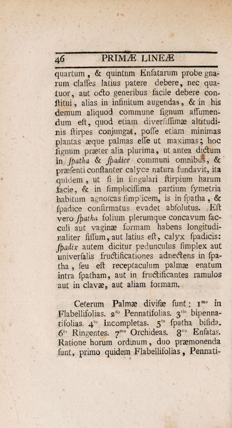 / .. i --' - ■- --- ii. 46 PRIMAE UNEM quartum, & quintnm Enfatarum probe gna¬ rum claffes latius patere debere, nec qua- tuor, aut ocfto generibus facile debere con- ftitui, alias in infinitum augendas, & in his demum aliquod commune fignum affumen- dum eft, quod etiam diverfillimae altitudi¬ nis ftirpes conjungat, poffe etiam minimas plantas aeque palmas efle ut maximas; hoc fignum praeter alia plurima, ut antea di&um in Jpatha & fpadice communi omnibul, & praetenti conftanter calyce natura fundavit, ita quidem , ut fi in Angulari ftirpium harum facie, & in fimpliciffima partium fymetria habitum agnofcas fimp icem, is in fpatha , & fpadice confirmatus evadet abfolutus. Eft vero fpatha folium plerumque concavum fac- culi aut vaginae formam habens longitudi- naliter fiifum, aut latius eft, calyx fpadicis: fpadix autem dicitur pedunculus fimplex aut univerfalis fructificationes adnedtens in fpa¬ tha , feu eft receptaculum palmae enatum intra fpatham, aut in fruCtificantes ramulos aut in clavae, aut aliam formam. v ' i :■ ' . ( Ceterum Palmae divifae funt; imo in Flabellifolias. £Pl° Pennatifolias. 3tio bipenna- tifolias, 4t0 incompletas. 5t0 fpatha bifida. 6t0 Ringentes. 7'° Orchideas. gvo Enfatas. Ratione horum ordinum, duo praemonenda funt, primo quidem Flabellifolias, Pennati-