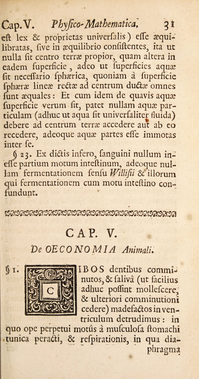 eft lex & proprietas univerfalis) efTe tequi- libratas, five in aequilibrio confidentes, ita ut nulla fit centro terra: propior, quam altera in eadem fuperfide, adeo ut fuperficies aquae fit necetfario Iphierica, quoniam a fuperficie fphaerte lineae reda: ad centrum duda: omnes funt aequales: Et cum idem de quavis aqua: fuperficie verum-fit, patet nullam aqua: par¬ ticulam (adhuc ut aqua fit univerfaliter fluida) debere ad centrum terra: accedere aut ab eo recedere, adeoque aquae partes elfe immotas inter fe. § 23. Ex didis infero, fanguini nullum in- elfe partium motum inteftinum, adeoque nul¬ lam fermentationem fenfu Willifii & illorum qui fermentationem cum motu inteftino con¬ fundunt. CAR V. \ ■ D e OE CONO MI A Animali. t * IBOS dentibus commU nutos, & faliva (ut facilius adhuc polfint mollefcere, & ulteriori comminutioni cedere) madefados in ven¬ triculum detrudimus: in a quo ope perpetui motus a mufculofa ftomachi tunica peradi, & refpirationis, in qua dia¬ phragma