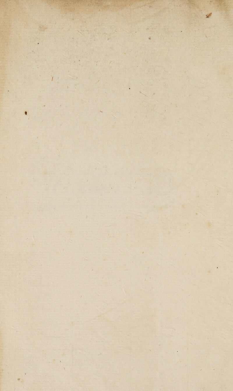 / V I / • \ / ) t \ \