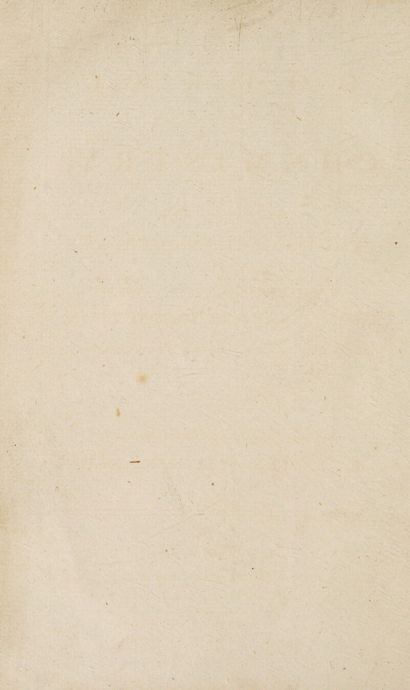 7 % / f- O'1’ I . I * T ; • / \ 1 , I ' \ V >