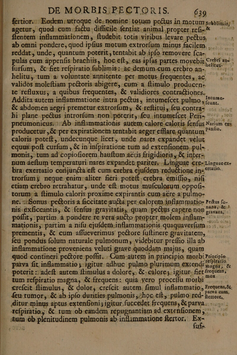fertior... Eodem: utroque de; nomine: totum pe&amp;us in motum sobbrituis; agetur, quod: cum. factu difficile fentiat.animal.propterrefi-* — ^^^ - flentem inflammationem, ftudebit. totis viribus levare pe&amp;us, ab omni pondere, quod ipfius motum extrorfum minus facilem. .... reddat, unde, quantum poterit , tentabit ab ipfo removere fca ^; pulas cum appenfis brachiis, hoc eft, cas ipfas partes movebit Crebri an. - furfum, &amp;-fiet refpiratio fublimis: .ac-demum.cum crebro an-. ^ Nepapila helitus.:tum a: voluntate annitente.per motus. frequentes, aC, — validos moleftiam pectoris abigere, cum: a. ftimulo producen- te refluxus, a quibus frequentes, &amp; validiores contra&amp;tiones. Addita autem inflammatione: intra pe&amp;us , intumeícet pulmo , (»ieme- -- . &amp; abdomen aegri premetur extrorífum y .&amp; reftitui, feuconuas |... hi plane. pe&amp;us introríüm non poterit; feu; intumefcet Peri» 7 oos pneumonicus. :;Ab inflammationis autem; calore caloris fenfüs Narium exs producetur ,&amp; per expirationem tentabit aeger cfflare, qu: antum P^? caloris poteft, undecunque licet, unde nares expandet velut equus: poft curfum , &amp; in infpiratione tum ad extenfionem, pul-. monis, tum ad copiofiorem.hauftum acris frigidioris &amp; interz. num aeftum temperaturi; nares expandct pariter; Linguae cre» Linguaeex- bra: exertatio corijuncta eft cum; crebra. ejuídem reductione in« ^^ trorfumj neque. enim:aliter fiéri. pote(t.crebra. émiffjio, mi — — etiam crebro retrahatur ,. unde eft; motus mufculorum oppofi- torum; a ftimulo caloris proxime expirantis cum aere. a: pulmo- ne; :iSonus pectoris a ficcitate auctáiper.calorem inflammatio: Pe&amp;us (z- nis exficcantis, &amp; fenfus 'grayitatis, quam pectus caperenonznyss poflit, : partim. à pondere re vera aucto propter molem inflam- js ira: mationis ;- partim a nifu.eju(dem.inflammarionis.quaquaver(um..: prementis, &amp; cum affueverimus' pecore fuftinere gravitatem, feu. pondus folum naturale pulmónum , videbitur preffio illa ab inflammatione proveniens. veluti grave.quoddam. majus, quam «quod: contineri pe&amp;ore. poffit. Cum-aütem in principio morbi Principio. paiva fit infammatio ; gitur. adhuc pulmo plurimum extendi 54. &amp; poterit :'adeft autem ftimulus a dolore; &amp;; calores. igitur; fiet freqsens. tum rcfpiratio magria, &amp;.frequens: quia yero procetfu. morbi  | creícit ftimulus; &amp; dolor, creícit: autem. fimul inflammatio, Frequens &amp;: feu tumor, .&amp; ab ipfo durities.pulmonis ;2hoc eft, pulmo red- eror, ditur.minus aptus .extenfioni ; igitur fuccedet. frequens, &amp; parva... tTefpiratio, &amp;. tum .ob.eandem répugnantiam ad.extenfionem ^. «7 &amp;um ob plenitudinem pulmonis ab inflammatione ftertor, | Ex-