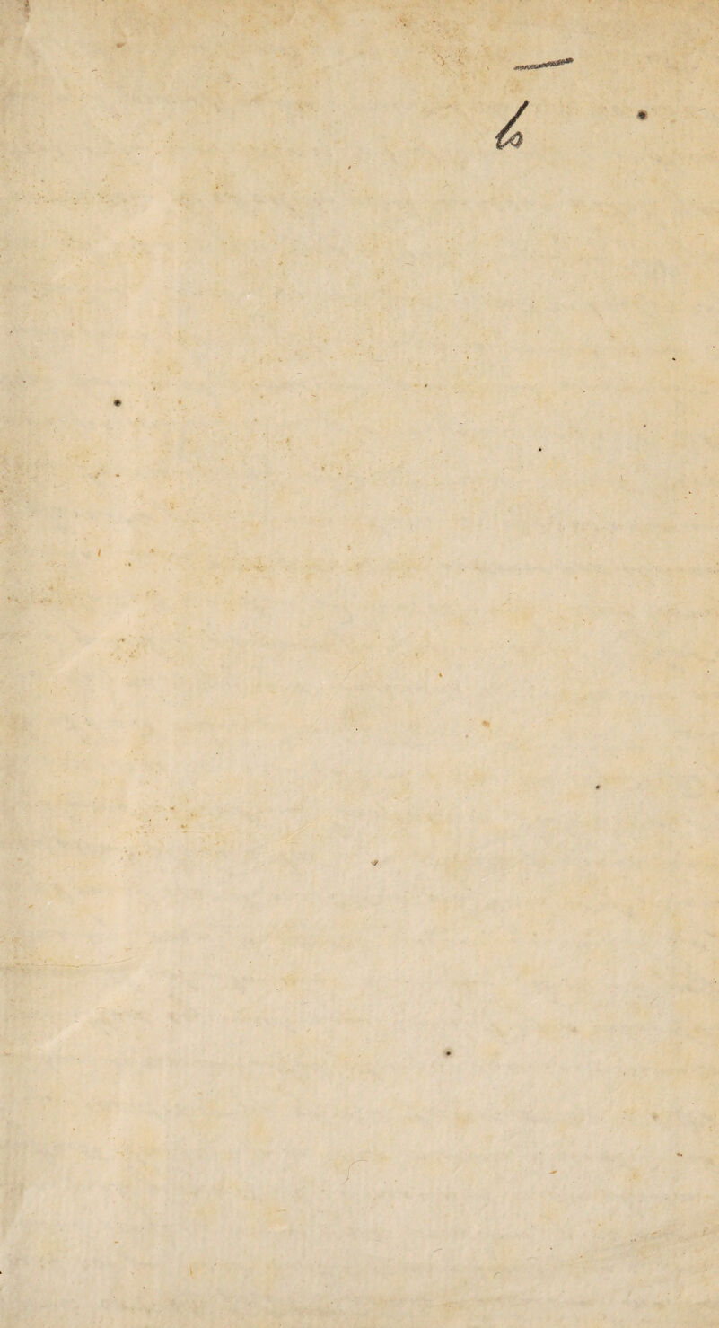 ■ i . / * «w*—*·» # / *