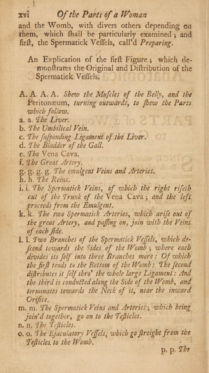and the Womb, with divers others depending on them, which fhall be particularly examined ; and firft, the Spermatick Veflels, call’d Preparing. An Explication of the firft Figure ; which de¬ mon (Irate s the Original and Diftribution of the Spermatick Veflels. A. A. A. A. Shew the Mufcles of the Belly, and the Peritonaeum, turning outwards, to fhew the Parts which follow. a. a. the Liver. b. The Umbilical Vein. c. The fufpending Ligament of the Liver. d. The Bladder of the Gall. e. The Vena Cava. f. The Great Artery. g. g. g. g The emulgent Veins and Arteries. h. h. The Reins. i. i. The Spermatick Veins, of which the right rifeth cut of the Trunk of the Vena Cava; and the left proceeds from the Emulgent. k. k. The two Spermatick Arteries, which arife out of the great Artery, and paffing on, join with the Veins of each fide. l. 1. Two Branches of the Spermatick Vejfels, which de¬ fend towards the Sides of the Womb \ where each divides its felf into three Branches more : Of which the fir ft tends to the Bottom of the Womb: The fecond diftributes it felf thro’ the whole large Ligament: And the third is conduced along the Side of the Wmb, and terminates towards the Neck of it, near the inward Orifice. m. m. The Spermatick Veins and Arteries *, which being join'd together, go on to the Tefticles. n. n. The T fticles. o. o. The Ejaculatory Vejfels, which go freight from the Tefticles. to the Womb. p. p. The