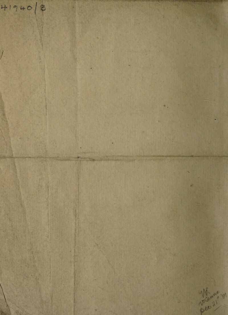 \ .r-. .•^>■1%* * if tt> N