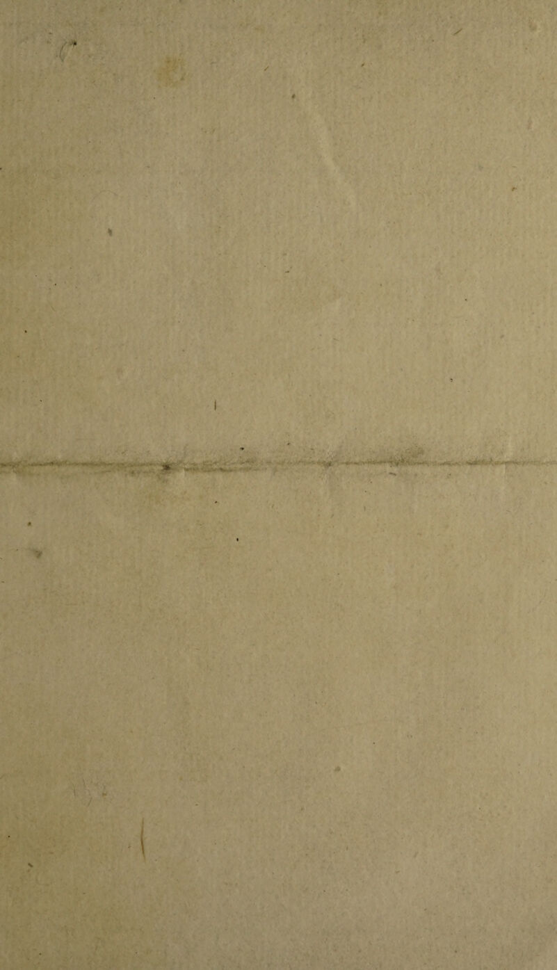 # > • ■> ;? ' .■.' /. / < ^ - t i.'' ' . • -^ t .