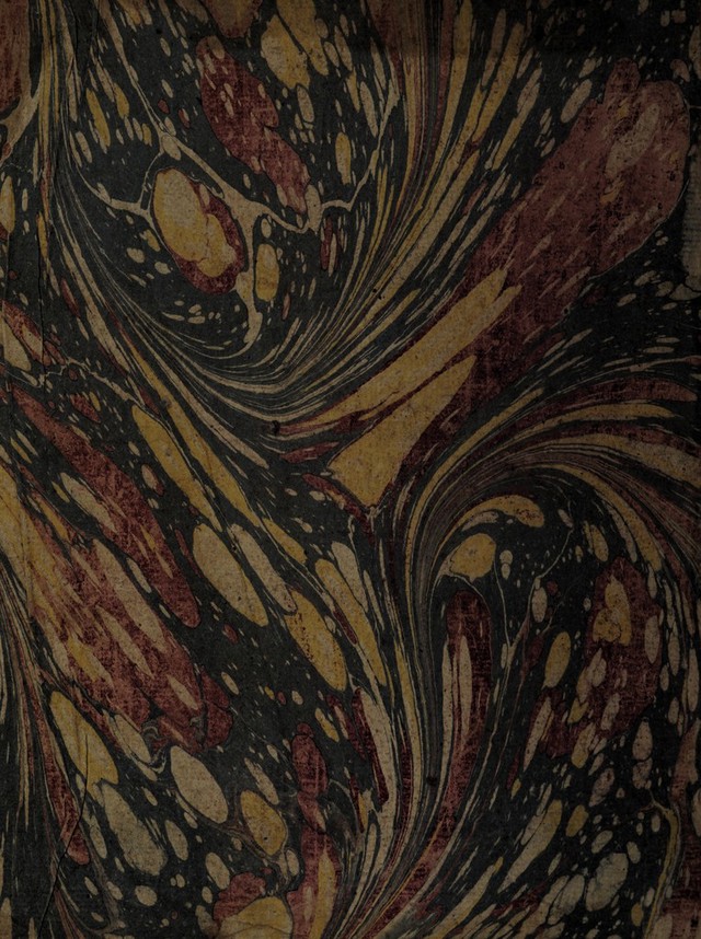 No text description is available for this image