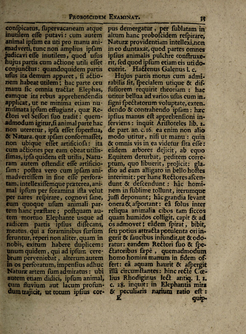 Proboscidem Examinat. confpicatus, fupervacaneam atque inutilem efle putavi: cum autem animal ipfum ea uti pro manu ani- «padverti, tunc non amplius ipfam judicavi efle inutilem, quod ufus hujus partis cum aftione utili eflet Conjun£tus: quandoquidem partis ulus ita demum apparet, fi a&io- nem habeat utilem: hac parte ceu manu fic omnia traftat Elephas, eamque ita rebus apprehendendis applicat, ut ne minima etiam nu- mifmata ipfum effugiant, quae Re- £lori vel Seflori fuo tradit: quem¬ admodum igitur,fi animal parte hac non uteretur, ipfa eflet fuperflua, & Natura, quae ipfam conformaflet, non ubique eflet artificiofa: ita cum aftiones per eam obeat utilis- fimas, ipla quidem eft utilis, Natu¬ ram autem oftendit efle artificio- fam: poftea vero cum ipfam ani- madvertiflem in fine efle perfora¬ tam, inteflexiflemque praeterea, ani¬ mal ipfum per foramina ifta velut per nares refpirare, cognovi fane, eum quoque ufum animali par¬ tem hanc praeftare; poftquam au¬ tem mortuo Elephante usque ad radicem partis lpfius diflecans, meatus qui a foraminibus furfum feruntur, reperi non aliter, quam in nobis, exitum habere duplicem: unum quidem, qui ad ipfum cere¬ brum perveniebat, alterum autem in os perforatum, impenfius adhuc Naturae artem fumadmiratus: ubi autem etiam didici, ipfum animal, cum fluvium aut lacuin profun¬ dum trajicit, ut totum ipfius cor* pus demergatur , per fublatam in altum hanc proboicidem refpirare. Naturae providentiam intellexi,non in eo duntaxat, quod partes omnes ipfius animalis pulchre conftruxe- rit, fedquod ipfum etiam eis uti do¬ cuerit. Ha&enus Galenus 1. c. Hujus partis motus cum admi¬ rabilis fit, fpecialem utique & dif- fufiorem requirit theoriam : hac utitur bellua ad varios ufus cum in. figni fpeftatorum voluptate, exten¬ dendo & contrahendo ipfam: haec ipfius manus eft apprehenfioni in- ferviens: inquit Ariftoteles lib. i• de part. an. c. i6. ea enim non alio modo utitur, nifiutmanu : quin & omnis vis in ea videtur fira efle : eadem arbores dejicit, ab equo Equitem deturbat, peditem corre¬ ptum, quo libuerit, projicit: gla¬ dio ad eam alligato in bello hotles interimit: per hane Reftoresafcen- dunt & defcendunt: hac homi¬ nem in fublime tollunt, iterumque jjufli deponunt; hac grandia levant onera afportant: et folus inter reliqua animalia cibos tam ficcos quam humidos colligit, capit & ad os admovet l eadem fpirat, bibit, feujpotius attraftapptulenta ori in¬ gerit (k faucibus infundit,ut & odo¬ ratur: eandem Reilori fuo & fpe- flatoribus fepe , quemadmodum homo homim manum in fidem of¬ fert: ea aquam haurit 8c afpergit illa circumflantes: hincrefie Coe- lius Rhodiginus left antkj. 1.1. c. 28. inquit: in Elephantis mira & peculiaris narium ratio eft :