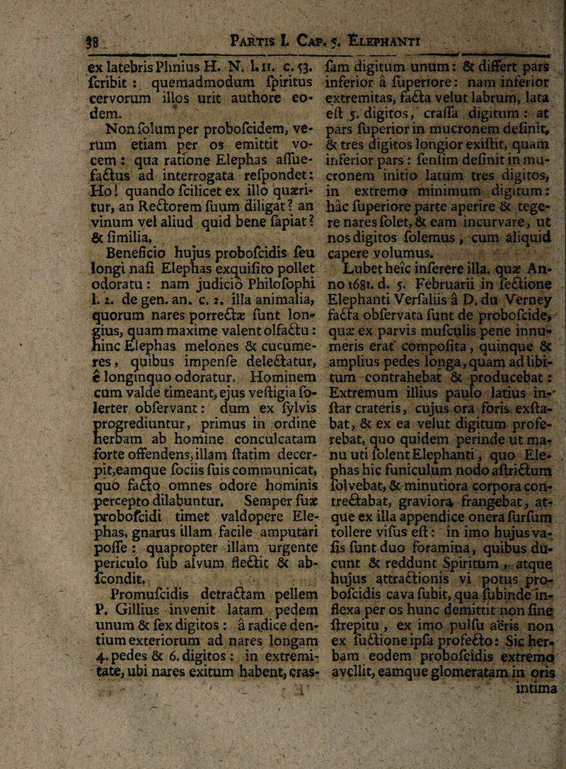 ex latebris Plinius H. N. 1. ir. c. 9. fcribit: quemadmodum Qiiritus cervorum illos urit authore eo¬ dem. Nonfolumper probofcidem, ve¬ rum etiam per os emittit vo¬ cem : qua ratione Elephas aflue- faftus ad interrogata refpondet ; Ho! quando fcilicet ex illo quaeri¬ tur an Re£torem fuum diligat ? an vinum vel aliud quid bene fapiat ? & fimilia. Beneficio hujus probofcidis feu longi nafi Elephas exquifito pollet odoratu : nam judicio Philofophi 1. 2. de gen. an. c. 2. illa animalia, quorum nares porre£fce funt Ion» fius, quam maxime valent olfaftu: inc Elephas melones & cucume¬ res, quibus impenfe dele£tatur, e longinquo odoratur. Hominem cum valde timeant, ejus veftigia fo- lerter obfervant: dum ex fylvis progrediuntur, primus in ordine herbam ab homine conculcatam forte offendens, illam ftatim decer¬ pit, eamque fociis fuis communicat, quo fa£tq omnes odore hominis percepto dilabuntur. Semper fux probofcidi timet valdopere Ele¬ phas, gnarus illam facile amputari pofle: quapropter illam urgente periculo fub alvum fleftit & ab- fcondit. Promufcidis detraftam pellem P. Gillius invenit latam pedem unum & fex digitos : a radice den¬ tium exteriorum ad nares longam 4. pedes & 6. digitos : in extremi¬ tate, ubi nares exitum habent, cras- --.- - - 'W—■ -■ 1 ,r fam digitum unum: 8t differt pars inferior a fuperiore: nam inferior extremitas, fa£fca velut labrum, lata eft 5. digitos, craffa digitum: at pars fuperior in mucronem definit, & tres digitos longior exiftit, quam inferior pars : fentim definit in mu¬ cronem initio latum tres digitos, in extremo minimum digitum: hac fuperiore parte aperire & tege¬ re nares folet, & eam incurvare, ut nos digitos folemus, cum aliquid capere volumus. Lubetheicinferereilla. quae An¬ nosi. d. 5. Februarii in fe£iione Elephanti Verfaliis a D. du Verney fa£ta obfervata funt de probofcide, quae ex parvis mufculis pene innu¬ meris erat compofita, quinque Sc amplius pedes longa, quam ad libi¬ tum-contrahebat & producebat: Extremum illius paulo latius in-' ftar crateris, cujus ora foris exfta- bat, & ex ea velut digitum profe¬ rebat, quo quidem perinde ut ma¬ nu uti folent Elephanti, quo Ele- . phas hic funiculum nodo aftri£tum folvebat, & minutiora corpora con- tre&abat, graviora frangebat, at¬ que ex illa appendice onera furfum tollere vifus eft: in imo hujus va- fis funt duo foramina, quibus du¬ cunt & reddunt Spiritum , atque hujus attraftionis vi potus pro¬ bofcidis cava fubit, qua fubinde in¬ flexa per os hunc demittit non fine ftrepitu, ex imo pulfu aeris non ex fu&ioneipfa profe&o: Sicher* bam eodem probofcidis extremo avellit, eamque glomeratam in oris intima