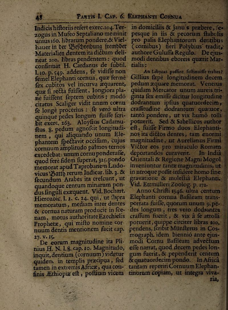 4» Pactis I. Gap. Indicis hiftoriis refert exerc.204.Ter- zpgus inMufeo Septaliano meminit unius 160, librarum pondere,& Viel- hauer in Det’ $8cfcl)teibuns frembbet: Materialicn dentem ita dictum deli¬ neat 200. libras pendentem ; quod confirmat H. Cardanus de fubtil. 1. io. p. ^49« addens, fe vidiffe non femel Elephanti cornua, quae fer me fex cubitos vel incurva aequarent, quae fi refla fuiffent, longiora pla¬ ne Fuiffent feptem cubitis : modo citatus Scaliger vidit unum cornu fe longe procerius : \fe vero ultra quinque pedes longum fuiffe fcri- bit exerc. 263. Aloyfius Cadamu- ftus 8* pedum agnofcit longitudi¬ nem , qui aliquando unum Ele¬ phantem fpeflavit ocrifum, cujus cornuum-amplitudo palmos ternos excedebat: unum cornu ponderaife, quod fere fidem fuperat, 32Cpondo memorat apudTaprobahemLudo- vicus rerum Indicar, lib* 3. St fecundum Arabes ita crefcunt, ut uandoque centum minarum pon- us iinguli exaequent. Vid. Bochart. Hierozoic. 1. z. e. 14. qui, ut iupra memoratum, mediam inter dentes & .cornua naturam producit in fce- nam, motus authoritateEzechieiis Prophetae, qui milio nomine cor nuum dentis mentionem facit cap. *7-v*** , v n,- De eorum magnitudine ita Pli¬ nius H. N. 1.8- cap, 10. Magnitudo, inquit, dentium (cornuum) videtur quidem in templis praecipua, led tamen in extremis Africae , qua con¬ finis dEthiopiae eft, pofiium vicem Elephanti Cornua — ■ —* !■■■ -,~r-—-«...i... . | iii^T in domiciliis St januis praebere, fe* pesque in iis St pecorum ftabulis pro palis Elephantorum dentibus (cornibus) fieri Polybius* tradit*' authore Guluffa Regulo. De ejus¬ modi dentibus eboreis quaerit Mar¬ tialis; An Libycas poffint fuftmuifle trabes ? Giliius fepe longitudinem decem pedum aequare memorat. Venetus quidam Mercator unum aureis tri* ginta fex emifle dicitur longitudine dodrantum ipfius quatuordecim f craifitudine dodrantum qua tuor, tanto pondere, ut vix humo tolli potuerit. Sed St Sabellicus author eft, fuiffe Firmo duos Elephanti¬ nos ita diflos dentes, tam enormi magnitudine, ut Aurelianus Firmi Viflor eos pro miraculo Romam deportandos curaverit. In India Orientali St Regione Magni Mogol inveniuntur tantaemagnimdinis, ut in utroque poffit infidere homo fine gravatione St moleftia Elephanti. Vid. Ettmlilleri Zooiog. p. 172. Anno Chrifti 1546. ultra centum Elephanti cornua Bafileam trans¬ portata fuiffe, quorum unum 9. pe¬ des longum, tres vero dodrantes craffum fuerit, St vix a fe attolli potuerit,quippe circiter libras 100* pendens, fcribit Munfterus in Cos- mograph. idem biennio ante ejus¬ modi Cornu Bafileam adveftum effe narrat, quod decem pedes lon¬ gum fuerit, & pependerit centum St quatuordecim pondo. In Africa tantam reperiri Cornuum Elephan¬ tinorum copiam, ut integra viva-