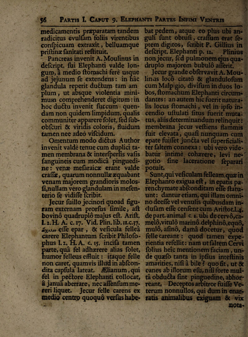 medicamentis praeparatam tandem radicitus evullam foliis virentibus conlpicuam extraxit, belluamque priftinaefanitati reftituit. Pancreas invenit A* Moulinus in defeript. lui Elephanti valde lon¬ gum, a medio ftomachi fere usque ad jejunum fe extendens: in hac glandula reperit duttum tam am pium, ut absque violantia mini¬ mum comprehenderet digitum: in hoc duftu invenit fuccum quen- dam non quidem limpidum, qualis communiter apparere folet, lea fub- obfcuri & viridis coloris, fluidum tamen nec adeo vifeidum. . Omentum modo di&us Author invenit valde tenue cum duplici ta¬ men membrana 8c interlperfis vafis (anguineis cum modica pinguedi¬ ne : venae- mefaraicae erant valde cralfe, quarum nonnullae aequabant venam majorem grandioris molos- fi,nullam vero glandulam in mefen- terio fe vidiffe feribit. Jecur fuillo jecinori quoad figu¬ ram externam prorfiis fimile, aft bovino quadruplo majus eft. Arift. l.z.H. A* yid.Plin.lib.n.c.^ ofle epar , 6c veficula fellea carere Elephantum feribit Philofo- phusl.2.H.A. c. 15. incifa tamen parte, qua fel adhaerere alias folet, numor felleus effluit: itaque felle non caret, quamvis iliiid in abfeon- dita capfula lateat, ffilianum, qui fel in peftore Elephanti collocat, a janua aberrare, nec affenfumme¬ reri liquet. Jecur felle carens ex medio centrp quoquo verfus habe¬ bat pedem, atque eo plus ubi an¬ guli funt obtufi, craffum erat fe* ptem digitos, feribit F. Gillius in defeript. Elephanti p. 12, Plinius non jecur, fed pulmonem ejus qua¬ druplo majorem bubulo aflerit. Jecur grande obfervavit A. Mou-. linas loco dtato & glandulofum cum Malpigio, divifum in duos lo¬ bos, ftomachum Elephanti circum¬ dantes : an autem hic fuerit natura¬ lis locus ftomachi, vel in ipfo in¬ cendio uftulati litus fuerit muta¬ tus, aliis determinandum relinquit: membrana jecur veftiens flammis fuit elevata, quali nunquam cum epate fuiflet junfta vel fuperficiali- j ter faltem connexa: ubi vero vide¬ batur intime cohaerere, levi ne- gotio fine laceratione feparari potuit* Sun t,qui veficulam felleam,quae in Elephanto exigua eft, in epatis pa¬ renchymate abfeonditam elle ftatu- unt: dantur etiam, qui illam omni¬ no deelfe vel venulis quibusdam in- clulam efle cenfentcum Ariftot.l.4. de part. animal c. i.ubi de cervo,ca¬ melo,vitulo marin6.delphino,equ6, mulo, afino, dama docetur, quod felle careant: quod tamen expe¬ rientia refellit: nam ut faltem Cervi folius heic mentionem faciam, un¬ de quarfo tanta in ipfius inteftinis amarities, nili a bile ? quo fit, ut 8C eanes ab illorum efu, nili forte mul¬ ta obdu&a fint pinguedine, abhor¬ reant, Deceptos arbitror fuiffe Ve¬ terum nonnfillos, qui dum in enar¬ ratis animalibus exiguam & vix nota- V / /