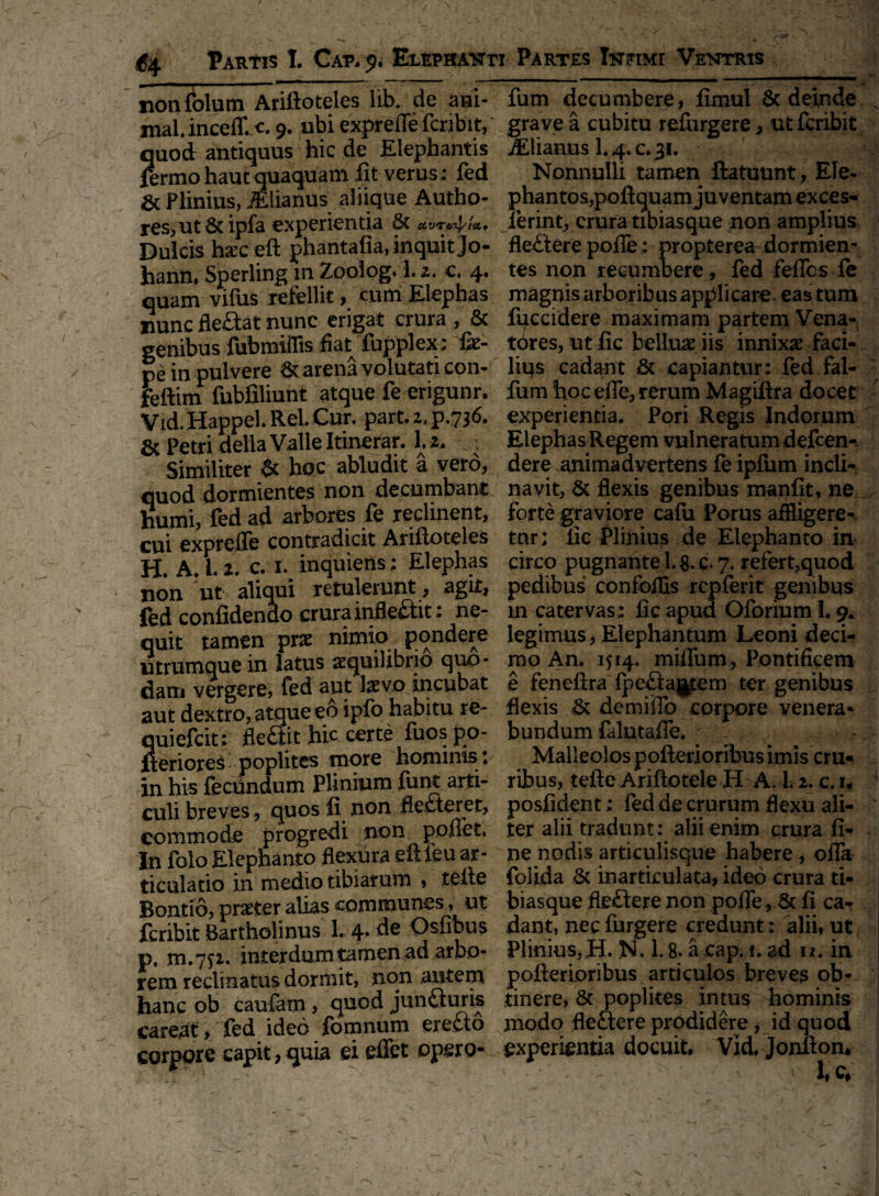 nonfolum Ariftoteles lib. de ani- maUnceff. c. 9. ubi exprefle fcribit, quod antiquus hic de Elephantis fermo haut quaquam fit verus: fed & Plinius, iElianus aliique Autho- res, ut 6c ipfa experientia 8t Dulcis haeceft phantafia, inquit Jo- hann, Sperling m Zoolog.L2. c 4. quam vifus refellit, cum Elephas nunc fleaat nunc erigat crura , & genibus fubmiflis fiat fupplex: fc- pe in pulvere & arena volutati con- feftim fubfiliunt atque fe erigunr. Vid.HappeL Rei. Cur. part. 2. p.736. & Petri della Valle Itinerar. 1.2, Similiter & hoc abludit a vero, quod dormientes non decumbant humi, fed ad arbores fe reclinent, cui exprefle contradicit Ariftoteles H. A. i. 2. c. 1. inquiens; Elephas non ut aliqui retulerunt, agit, fed confidendo crura inflectit; ne¬ quit tamen prae nimio pondere mrumquein latus aequilibrio quo¬ dam vergere, fed aut laevo incubat aut dextro, atque eo ipfo habitu re- Suiefcit: fle£tit hic certe fuos po- eriores poplites more hominis t in his fecundum Plinium funt arti¬ culi breves, quos fi non flecteret, commode progredi non poflet. In folo Elephanto flexura eftfeu ar¬ ticulatio in medio tibiarum , teite Bontio, praeter alias communes, ut fcribit Bartholinus 1. 4. de Osfibus p. m.7f2. interdumtamen ad arbo¬ rem reclinatus dormit, non autem hanc ob caufarn , quod juncturis careat, fed ideo fomnum erecto corpore capit,quia ei effet opero- fum decumbere, fimul & deinde , grave a cubitu refiirgere, ut fcribit iElianus I. 4. c. 31. Nonnulli tamen ftatuunt, Ele¬ phantos, poftquam juventam exces- ierint, crura tibiasque non amplius fle£tere pofle: propterea dormien¬ tes non recumbere, fed feflcs fe magnis arboribus applicare, eas tum fuccidere maximam partem Vena¬ tores, utfic belluae iis innixae faci¬ lius cadant & capiantur: fed fal- - fum hoc efle, rerum Magifira docet experientia. Pori Regis Indorum Elephas Regem vulneratum defcen- dere animadvertens fe ipfum incli¬ navit, & flexis genibus manfit, ne forte graviore cafu Porus affligere- tnr; lic Plinius de Elephanto in circo pugnante 1.8. c. 7. refert,quod pedibus confoflls rcpferit genibus in catervas: fic apud Oforium 1.9. legimus, Elephantum Leoni deci¬ mo An. 1514. miflum, Pontificem e feneftra ipe&aj|pem ter genibus flexis & demiflb corpore venera¬ bundum falutafle. Malleolos pofterioribus imis cru¬ ribus, tefte Ariftotele H A. 1.2. c. u k posfident: fed de crurum flexu ali¬ ter alii tradunt: alii enim crura fi¬ ne nodis articulisque habere , ofla folida & inarticulata, ideo crura ti¬ biasque fle£tere non pofle, & fi ca¬ dant, nec furgere credunt: alii, ut Plinius, H. N. L 8. acap. 1. ad n. in pofterioribus articulos breves ob* tinere, & poplites intus hominis modo fleftere prodidere , id quod experientia docuit, Vid. Jonfton* * U J