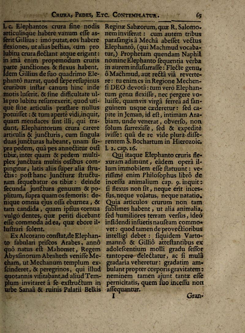 1. c. Elephantos crura fine nodis articulisque habere vanum effe as- ferit Gillius: imo putat, eos habere flexiones, ut alias beftias, cum pro lubitu crura fleCtant atque erigant: in ima enim propemodum cruris parte junCtiones & flexus habent* Idem Gillius defuo quadrimo Ele¬ phanto narrat, quod fa?perefupinus cruribus inftar canum hinc inde motis luferit, & line difficultate ul¬ la pro lubitu refurrexerit, quod uti¬ que fine articulis pra?ftare nullus potuiffet: & tum aperte vidi,in quit, uam mendaces nnt illi, qui tra- untr Elephantorum crura carere articulis & jun&uris, cum fingula duasjun&uras habeant, unam fu- pra pedem, qua pes anneCtitur osfi tibia?, inter quam & pedem multi¬ plex junCtura multis osfibus com¬ pingitur, latis aliis fuper alia ftru- Ctis: pofthanc junCtura? ftruCtu- ram fequebatur os tibia?: deinde fecunda junftura genuum 8c po¬ plitum, fupra quam os femoris: de¬ nique omnia ejus offa eburnea, -8c tam candida, quam ipfius cornua vulgo dentes, qua? periti dicebant effe commoda ad ea, qua? ebore ii- luftrari folent. Ex Alcorano confiat,de Elephan¬ to fabulari prifcos Arabes, anno quo natus eft Mahomet, Regem Abysfinorum Abraheth veniffeMe- cham, ut Mechanum templum ex- fcinderet,8c peregrinos, qui illud quotannis vifitabant,ad aliud Tem¬ plum invitaret a fe exftruCtum in urbe Sanaa & ruinis Palatii Belkis Regina? Saba?orum, qua? R. Salorno* nem inviferat: cum autem tribus parafangis a Mecha abeffet veCtus Elephanto, (qui Machmud vocaba¬ tur,) Prophetam quendam Naphil nomine Elephanto fequentia verba in aurem infufurraffe: FleCte genu, 6 Machmud, aut reCta via reverte¬ re : tu enim cs in Regione Mechen- fi DEO devota: tum vero Elephan¬ tum genu flexiffe, nec pergere vo- luiffe, quamvis virga ferrea ad fan- guinem usque ca?deretur: fed ca- ite in Jeman, id eft, intimam Ara- iam, unde venerat, obverfo, non folum furrexiffe, fed & Expedite iviffe: qua de re vide plunKdiffe- rentem S. Bochartum in Hierozoic. L2.cap.26. Qui itaque Elephanto cruris fle¬ xuram adimunt, eadem opera il¬ lum immobilem effe ftatuunt: ve- riflime enim Philofophus libro de inceffu animalium cap. 9.inquit: fi flexus non fit, neque erit inces- fus, neque vojatus, neque natatio* Quia articulos crurum non tam fublimes habent, ut alia animalia, fed humiliores terram verfus, ideo infidendi infuetis naufeam commo« vet: quod tamen de proveftioribus intelligi debet : fiquidem Varto- manno & Gillio atteftantibus ex adolefcentium molli gradu feffor tantopere delectatur, ac fi mula radaria veheretur: gradatim am- ulant propter corporis gravitatem: neminem tamen ajunt tanta? effe pernicitatis, quem fuo inceffu non affequantur. I Gran-