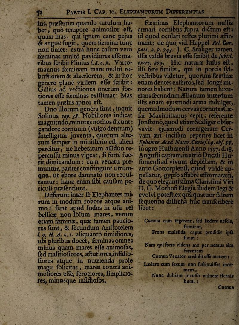 \ / N \ ^ 11 Partis I. Cap. io. Elephantorum Differentias lus, prarfertim quando catulum ha- Fxminas Elephantorum nullis bet, quo tempore animofior eft, armari cornibus fupra di&um eft: quam mas, qui ignem cane pejus id quod oculati teftes plurimi affir- 8c angue fugit, quem femina tunc mant: de quo, vid.Happel Rei Curm non timet: extra hunc cafum vero part. a.p. 743. J. C. Scaliger tamen feminas multo pavidiores eflema- illis valde brevia efle fcribit defubt:lm ribus fcribit Plinius l.t.c.8* Varto- exerc. 204. Hic naturae lufus eft, mannus feminam mare multo ro- illi fere fimilis, qui in porcis lyl- buftioremSc alacriorem, & in hoc veftribus videtur, quorum ferpinae genere plane virilem efle fcribit: etiam dentes exfertos,fed longe mi- Gillius ad ve&iorres onerum for- nores habent: Natura tamen luxu- tiores efle feminas exiftimat; Mas rians fecundum iElianum interdum tamen praeliis aptior eft. # illis etiam ejusmodi arma kidulget, 1 Duo illorum genera funt, inquit quemadmodum cervas cornutasCae- Solinus cap. jS* Nobiliores indicat lar Maximilianus cepit , referente magnitudo,minores nothos dicunt: Jonfton6,quod etiamScaliger obfer- candore cornuum (vulgo dentium) vavit: ejusmodi cornigeram Cer- fatelligitur juventa, quorum alte- vam aeri incifam reperire licet in rum femper in minifterio eft, alteri Ephemcr.Acad. Natur. Curiof.l.g. obf. 88. parcitur, ne hebetatum afliduo re- in agro Hufumenfi Anno 1597. d.ig. percuflu minus vigeat, fi forte fue- Augufti captam,in atrio Ducali Hu- rit dimicandum: cum venatu pre- fumenfi ad vivum depiftam, & in muntur, pariter confringunt utrum- atrio Gottorpienfi, quod viride ap- que, ut ebore damnato non requi- pellatur, gypfo affabre efformatam, rantut: hanc enim fibi caufam pe- de quo elegantisfima Clarisfimi Viri riculi praefentiunt. D. Gr. Morhofi Elegia ibidem legi Sc Differunt inter fe Elephantes mi» evolvi poteft,ex qua quatuor faltem rum in modum robore atque ani- fequentia difticha huc tranfcribere mo: funt apud Indos in ufu rei libet: bellicae non folum mares, verum etiam feminae, quae tamen paucio¬ res fimt, & fecundum Ariftotelem /. g. H. A. r. /. aliquanto timidiores, ubi pluribus docet, feminas omnes minus quam mares e(Te animofas, fed malitiofiores, aftutiores,infidio- fiotes atque in nutrienda prole magis folicitas, mares contra ani- monores efle, ferociores, fimplicio- res, minusque infidiofos. Cernua cum tegerent, fed laedere nefcia, frontem, Frons malefida caput prodidit ipla 1 fuum : Nam qui forte videns me per nemus alta ferentem Cornua Venator credidit eflfe marem: Laedere cum fexum non fuftinuilTet iner¬ mem, Nunc dubiam incuffo vulnere fternis humi: Cornua \ I