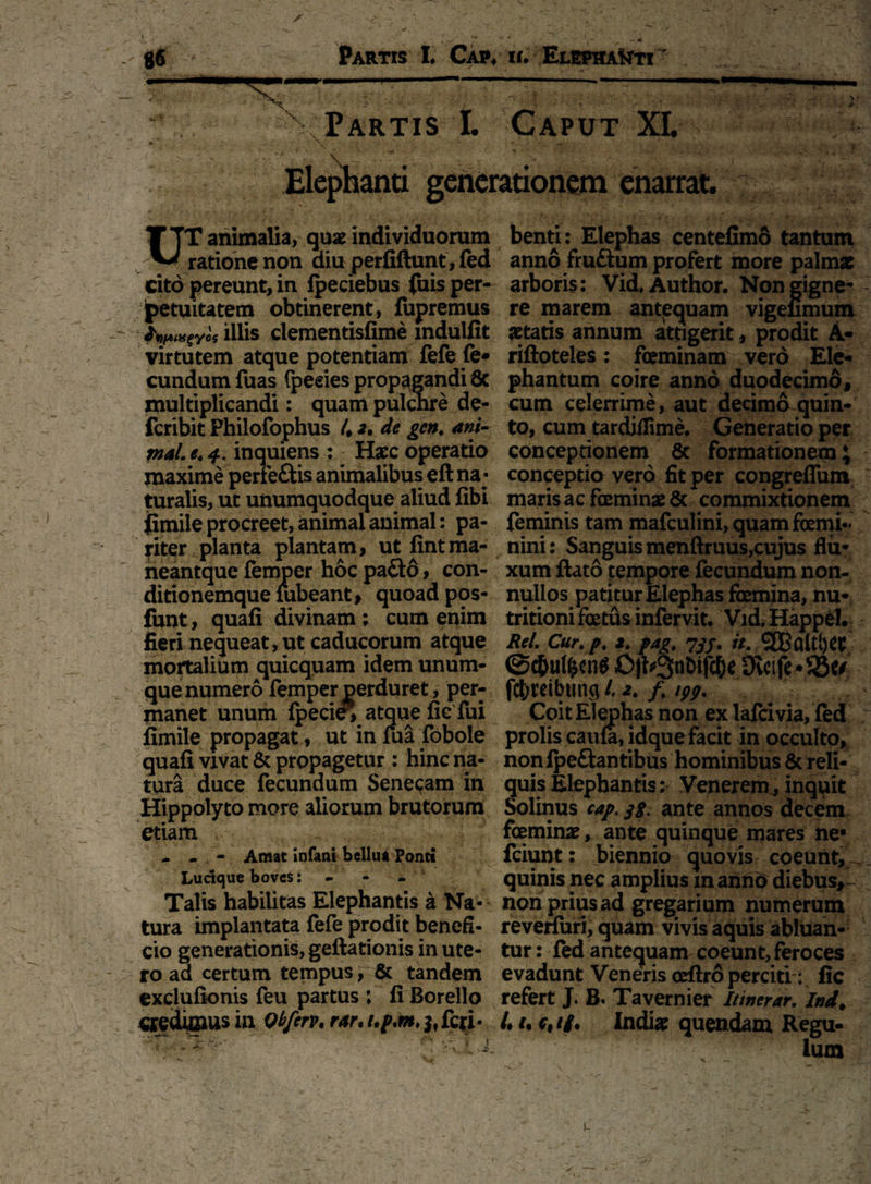 t---—'— Partis I. Caput XI. v -vC - ' C * • • *' •»*'. • - *A'>. ^ - \ _ _ •« /- ■ Vv-- Elephanti generationem enarrat. UT animalia, quae individuorum ratione non diu perliftunt, fed cito pereunt, in ipeciebus fuis per¬ petuitatem obtinerent, fupremus tyvHfycs illis ciementisfime mdulfit virtutem atque potentiam fefe fe- eundum fuas fpeeies propagandi 6c multiplicandi: quam pulchre de- feribit Philofophus /* 2, de gen. ani- male. 4. inquiens : Haec operatio maxime perie&is animalibus eft na¬ turalis, ut unumquodque aliud libi ijmile procreet, animal animal: pa¬ riter planta plantam, ut fintma- neantque femper hoc pa£to, con¬ ditionemque fubeant, quoad pos- funt, quafi divinam; cum enim fieri nequeat, ut caducorum atque mortalium quicquam idem unum- que numero femper perduret, per¬ manet unum fpecie^ atque fic fui fimile propagat, ut in fua fobole quafi vivat & propagetur ; hinc na¬ tura duce fecundum Senecam in Hippolyto more aliorum brutorum etiam - - . - Amat infani bellua Ponti Ludque boves: - - - ; Talis habilitas Elephantis a Na¬ tura implantata fefe prodit benefi¬ cio generationis, geftationis in ute¬ ro ad certum tempus, & tandem exclufionis feu partus ; fi Borello aedibus in Qtftrp* rar* 3,feti- ' ; f \ i * - ' 1 -- benti: Elephas centefimS tantum anno fruftum profert more palmae arboris; Vid, Author. Non gigne¬ re marem antequam vigeumum aetatis annum attigerit, prodit A- riftoteles: feminam vero Ele¬ phantum coire anno duodecimo, cum celerrime, aut decimo quin¬ to, cum tardiflime. Generatio per conceptionem 8c formationem J conceptio vero fit per congreffum maris ac feminae & commixtionem feminis tam mafculini, quam femi¬ nini 2 Sanguis menftruus,cujus flu* xumftato tempore fecundum non¬ nullos patitur Elephas femina, nu- tritioni fetus infervit. Vid, Happel. ReL Cur. p. 2. pag. 7jf. it. SEBaltljtt ©c&ul&en$ 0|^3nDifc^e 9vcife*S5tf fcbreibutici /. 2. f. ipp. Coit Elephas non ex lafcivia, fed prolis cauta, idque facit in occulto, non fpe&antibus hominibus & reli¬ quis Elephantis; Venerem, inquit Solinus cap. 38. ante annos decem feminae, ante quinque mares ne* fciunt: biennio quovis coeunt, quinis nec amplius manno diebus,- non prius ad gregarium numerum revenuri, quam vivis aquis abluan¬ tur : fed antequam coeunt, feroces evadunt Veneris oeftro perciti: fic refert J. B. Tavernier Itinerar. Ind. L /• c, i£* Indiae quendam Regu-