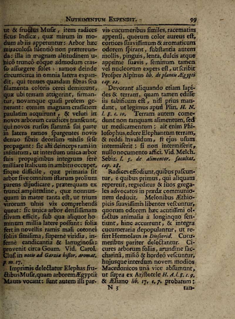 ut & fructus Mufeitem radices' ficus Indic#, qu# mirum in mo¬ dum ab iis appetuntur? Arbor haec mira cui ofa filentio non praetereun¬ da rilla in ir agnam altitudinem u- hico trunco eoque admodum cras- fo affurgere folet ^ ramos deinde circumcirca in omnia latera expan¬ dit , qui tenues quasdam fibras feu filamenta coloris cerei demittunt, quae ubi terram att%erint, firman¬ tur, novamque quafi prolem ge¬ nerant: etenim magnam cratfkiem paularim acquirunt, 8t veluti in novos arborum caudices tranfeunt, qui novos rurfifs fumma fui parte in latera ramos fpargentes novis denuo fibris deorfum misfis fefe propagant ? fic att deinceps rami in infinitum f ut interdum unica arbor fuis propaginibus integrum fere* rnilliare Italicum in ambitu occupet, fitque difficile, quae primaria fit arbor five omnium iftarum prolium parens dijudicare, praeterquam ex trunci amplitudine, quae nonnun- quam in matre tanta eflr, ut trium virorum ulnis vix comprehendi queat? fic unica arbor denfiflimam filvam efficit, fub qua aliquot ho minum millia latere poflunt; folia fert in novellis ramis mali cotonei foliis fimilima, fuperne viridia, in¬ ferne candicantia & lanuginofa; provenit circa Goam. Vid. Carol. Cluf in notia ad Garzta htfior, arornat, f m. /7. Imprimis deleflatur Elephas fru- fiibusMufae>quam arboremiEgyptii Mauts vocant; funt autem illi par¬ vis cucumeribus* fimiles,racematim appenfi, quorum color aureus efi, cortices fuavifTuimm & aromaticum odorem fpirant, fubftantia autenr mollis, pinguis, lenta, dulcis atque apprime fuavis, feminum tamen vei nucleorum expers efi/Utfcribit Ptofper Alpinus tib. de pfontU JEgypti cap. 22, Devorant aliquando etiam lapi¬ des & terram, quam tamen edifle iis tabificum eft , nifi prius man¬ dant, ut legimus apud Plin. H. Ak /. $. c, 10, Terram autem come* dunt non tanquam alimentum, feci ut medicamentum ? ait enim Phi- lofophus,edere Elephantum terram, & reddi invalidum/ fi ejus ufum intermUerit; fi non intermiferit/ nullo nocumento affier. Vid Melch. Sebiz, /. f, de almentor, facultate cap 2$. Radices effodiunt,quibus pafcun- tur, e quibus primus, qui aliquam repererit, regreditur & iiros grega¬ les advocatos in prxdx communio¬ nem deducit. Melonibus iEthio- picis fuaviffimis libenter vefcuntur, quorum odorem h#c acutiffimi oh fa£ius animalia a longinquo fen- tiunf, hinc accurrant, & integra cucumeraria depopulantur, ut re¬ fert Hermolaus in Diofcond. Cucu¬ meribus- pariter deleftantur. Ci¬ cures arborum foliis, arundine fac- charina:, milio & hordeo vefcuntur, aueinterdum novem modios onicos una vice abfumnnty ut fupra ex Arjftotele //. /f. /. y. c. g. Sc iEliano Itb, rjf c, 7, probatum: H f tau-