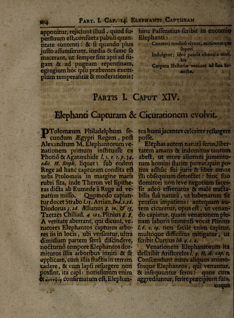 Part. I. Gap. 14. Elephanti Capturam apponitur, rejiciunt illud, quod fu- hinc Pafleratius fcribit in encomio perfluum eft,confueta pabuli quan- Elephanti : titate contenti: & fi quando plus Contenti modico vivunt, minimum^ae - /v n —_ O- C-TL fopori Indulgent; ideo paucis obnoxia mor¬ bis : Corpora Neftoriae veniunt ad fata Se¬ ne dl*. «* ; juftoaflumferunt, inedia & fame fe macerant, ut femper fint apti ad fu¬ gam & ad pugnam repentinam, egregium hoc ipfo praebentes exem¬ plum temperantiae & moderationis; Partis I. Caput XIV. Elephanti Capturam & Cicurationem evolvit. PTolomatum Philadelphum fe¬ cundum $gypti Regem, poft . Alexandrum Tvl. Elephantorum ve¬ nationem primum inftituifte ex iPhotio & Agatarchide i /. t. up. %4. edii> H. Stepb. liquet: fub eodem Rege ad hanc capturam condita eft Urbs Ptolemais in margine maris rubri fita, inde Theron vel Epithe- ras di£ia ab Eumede a Rege ad ve¬ natum miffo* Quomodo capian¬ tur docet Strabo Lif. Attiar\jnJ.2'2*. Diodorus 3.26. &lianustf. 10. & ij% Tzet2.es Chiliad. 4.121. Plinius 8. 8. A veritate aberrant, qui dicunt, ve¬ natores Elephantos capturos arbo¬ res iis in locis, ubi veriantur, ultra dimidiam partem ferra difeindere, UoftUrn6 tempore Elephantos dor¬ mituros illis arboribus inniti & fe applicare, cum illis fraftis in terram cadere, & cum lapfi refurgere non posfint, ita capi: notisfimum enim MTofy* confirmatum eft, Elephan¬ tes humi jacentes celeriter refurgere pofTe. X Elephas autem natura ferus,liber- j tatem amans & indomitus tantum abeft, ut more aliorum jumento¬ rum homini ftatim pareat,quin po* tius adhuc fui juris & liber omne illi obfequium detre&et: hinc fuo domitori non leve negotium faces- fit adeo effrenatus & male tra£la- i bilis fua natura, ut habenarum fit i prorfus impatiens : antequam au- \ tem cicuretur, opus eft, ut venan- I do capiatur, quam venationem ple¬ nam laboris immenfi vocat Plinius /. 6. r. 19. non facile enim capitur, multoque difficilius mitigatur , ut fcribit Curtius Irb. 9. c, 2. Venationem Elephantorum ita deferibit Ariftoteles /. 9. H. A. <ap. n Confcendunt mites aliquos animo- 1 fosque Elephantos , qui venantur, & infequuntur feros T quos cum i aggrediuntur, ferire praecipiunt fuis,
