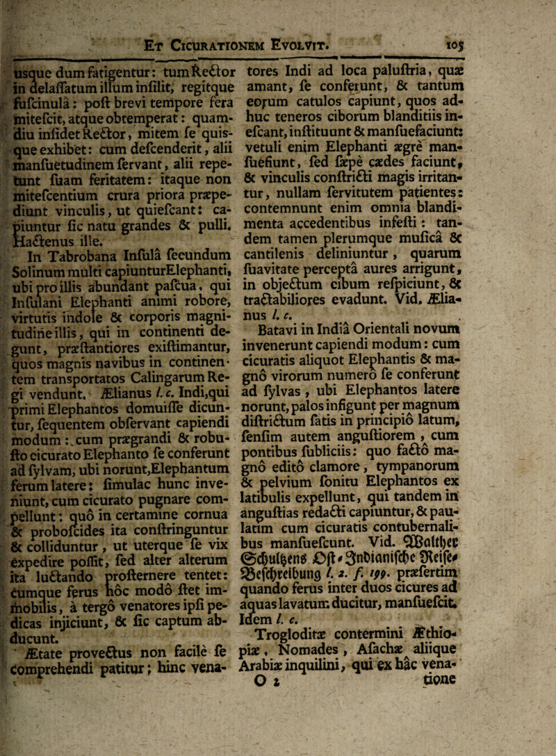 usque dum fatigentur: tum Reflor tores Indi ad loca paluftria, quae in delaflatumilluminfilit, regitque amant, fe conferunt, & tantum fufcinula: poft brevi tempore fera eoj-um catulos capiunt, quos ad- mitefcit, atque obtemperat: quam- huc teneros ciborum blanditiis in- diu inlidet Reflor, mitem fe quis- efcant,inftituunt & manfuefaciunt: que exhibet: cum defcenderit, alii vetuli enim Elephanti aegre man- manfuetudinem fervant, alii repe- fu^fiunt, fed fepe caedes faciunt» tunt fuam feritatem: itaque non & vinculis conftrifli magis irritan- mitefcentium crura priora praepe- tur, nullam feryitutem patientes: diunt vinculis, ut quiefcant: ca- contemnunt enim omnia blandi- piantur fic natu grandes & pulli, menta accedentibus infefti: tan- Haflenus ille. dem tamen plerumque mufica 8c In Tabrobana Infula fecundum cantilenis definiuntur , quarum Solinum multi capiunturElephanti, ubi pro illis abundant pafcua, qui Infui ani Elephanti animi robore, virtutis indole & corporis magni¬ tudine illis, qui in continenti de¬ gunt, praeftantiores exiftimantur, quos magnis navibus in continen* tem transportatos Calingarum Re¬ gi vendunt. iElianus /. c. Indi,qui primi Elephantos domuiffe dicun¬ tur, fequentem obfervant capiendi modum :Hcum praegrandi & robu- fto cicurato Elephanto fe conferunt ad fylvam, ubi norunt,Elephantum ferum lateret fimulac hunc inve¬ niunt, cum cicurato pugnare com¬ pellunt ; quo in certamine cornua & probofcides ita conftringuntur & colliduntur, ut uterque fe vix expedire poflit, fed alter alterum ita luflando profternere tentet: Cumque ferus hoc modo flet im¬ mobilis , a tergo venatores ipfi pe¬ dicas injiciunt, 8c fic captum ab¬ ducunt. Altate proveflus non facile fe Comprehendi patitur; hinc vena- fuavitate percepta aures arrigunt, in objeftum cibum refpiciunt, 6c traftabiliores evadunt. Vid, jElia- nus /. c. Batavi in India Orientali novum invenerunt capiendi modum: cum cicuratis aliquot Elephantis 6c ma¬ gno virorum numero fe conferunt ad fylvas , ubi Elephantos latere norunt, palos infigunt per magnum diftriftum fatis in principio latum, fenfim autem anguftiorem cum pontibus fubliciis; quo fafto ma¬ gno edito clamore, tympanorum 8c pelvium fonitu Elephantos ex latibulis expellunt, qui tandem ini anguftias redafli capiuntur, & pau- latim cum cicuratis contubernali¬ bus manfuefcunt. Vid. ?£Baltl)CC <Sd)ttl&en$ ^ SnOianifdhe SReife* 58efcJ)relbung /. 2. f #;#. praefertim quando ferus inter duos cicures ad aquas lavatum ducitur, manfuefcit* Idem /. c. Trogloditae contermini /Ethio- piae , Nomades , Afachae^ aliique Arabiae inquilini, qui ex hac vena- O t tione
