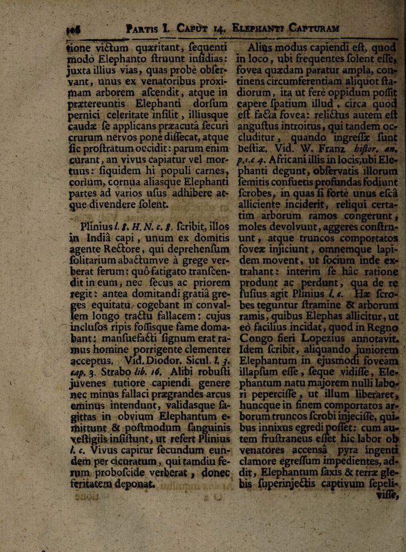 ‘ 'rr. * '\ 'C '<V ' - Fartis 1 Cxpdr 14. Elephanti Capturam tione vi&um quaeritant, fequcnti modo Elephanto ftruunt inndias: juxta illius vias, quas probe obfer* vant, unus ex venatoribus proxi¬ mam arborem afcendit, atque in praetereuntis Elephanti dorfum pernici celeritate infilit > illiusque caudae fe applicans praeacuta fecuri crurum nervos pone diflecat, atque jfic proftratum occidit: parum enim curant, an vivus capiatur vel mor¬ tuus: fiquidem hi populi carnes, corium, cornua aliasque Elephanti partes ad varios ufus adhibere at¬ que divendere folent. Plinius /. S* H. N. e. g. fcribit, illos jn India capi, unum ex domitis agente Reftore, qui deprehenfum folitarium aba&umve a grege ver¬ berat ferum : quofatigato tranfcen- ditineum,nec fecus ac priorem regit : antea domitandi gratia gre¬ ges equitatu^ cogebant in conval¬ lem longo traftu fallacem: cujus inclufos ripis foflisque fame doma¬ bant: manfuefafti fignum erat ra¬ mus homine porrigente clementer acceptus, Vid*Diodor. Sicul. t /. t4p, 3, Strabo lib. 16. Alibi robufti juvenes tutiore capiendi genere nec minus fallaci praegrandes arcus eminus intendunt, validasque fa- gittas in obvium Elephantum e- mittunt & poftmodum fanguinis yeftigiis infiflunt, ut refert Plinius I. c. Vivus capitur fecundum eun¬ dem per cicuratum, qui tamdiu fe¬ rum probofcide verberat, donec feritatem deponat. e - — ' r - - - . -; Alius modus capiendi eft, quod in loco, ubi frequentes folent efle, fovea quaedam paratur ampla, con^ tinens circumferentiam aliquot fta- diorum, ita ut fere oppidum poflit capere fpatium illud , circa quod eft fa&a fovea: reliftus autem eft anguftus introitus, qui tandem oc- eluditur, quando ingreflae funt beftiae» Vid. W. Franz bifior. an. pj,c 4. Africani iliis in lock,ubi Ele¬ phanti degunt, obfervatis illorum femitis confuetis profundas fodiunt ferobes , in quas fi forte unus efca alliciente inciderit, reliqui certa- tim arborum ramos congerunt, moles devolvunt, aggeres conftrn- unt, atque truncos comportatos foveae injiciunt, omnemque lapi¬ dem movent, ut focium inde ex¬ trahant: interim fe hac ratione f>rodunt ac perdunt, qua de re ufius agit Plinius 4 Hae fero¬ bes teguntur ftramine St arborum ramis, quibus Elephas allicitur, ut eo facilius incidat, quod in Regno Congo fieri Lopezius annotavit. Idem fcribit, aliquando juniorem Elephantum in ejusmodi foveam illapfum efle, feque vidifle, Ele¬ phantum natu majorem nulli labo¬ ri pepercifle, ut illum liberaret, huneque in finem comportatos ar¬ borum truncos fcrobiinjecifle, qui¬ bus innixus egredi poflet: cum au¬ tem fruftraneus efiet hic labor ob venatores accensa pyra ingenti clamore egreflum impedientes, ad¬ dit, Elephantum faxis & terrae gle¬ bis fuperinje&is captivum fepeli- * ~ vifle.