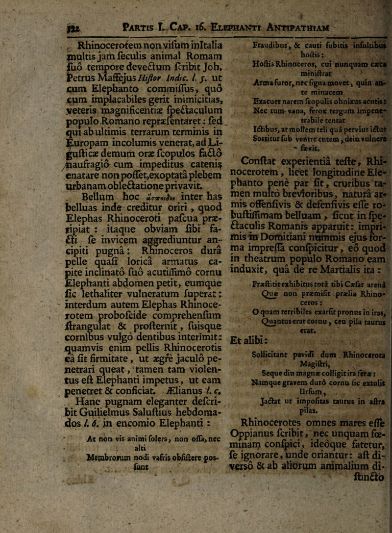 Fraudibus,. & cauti fubitis infultibus • hoftis: Hoftis Rhinoceros, cui nunquam? esca miniftrat 1 Armafuror^nechgnamovct, quin an-* te minacem? Exacuet narem fcoputis obnixus acutis: Nec tum vana, ferox tergum impene¬ trabile tentat I<ftibus,atmoIfem teli qua pervius idlus Sortitur fub ventre cutem, dein. vulnere - faevit. Conflat experientia tefte, Rhi- f Rhinocerotem non vifbmMtafia multis jam feculis animat Romam fuo tempore devectum fcribit Job* Petrus Maffejus Hiflor Indic. I j. ut cum Elephanto commiffus, quo cum implacabiles gerit inimicitias, veteris magnificentiae fpe&aculum populo Romano repraefentaret: Cei _ qui ab ultimis terrarum terminis in Juropam incolumis venerat, ad Li- ufticae demum oracfcopulos fa&a aufragio cum impeditus catenis » ^ enatare non pollet,exoptata plebem nocerotein, licet longitudine Ete* Urbanamobleftationeprivavit. phanto pene par fit, cruribus ta- Beilum hoc ^ inter has m?n mutai brevioribus, natura ar- belluas inde creditur oriri, quod & defenfivis effe ro- Elephas Rhinoceroti pafcua prae- bulxiflimam belluam > ficut in fpe- fipiat : itaque obviam fibi fa- baculis Romams apparuit: impri- fti fe invicem aggrediuntur an- nusmDonjitiam nummis ejus for» cipiti pugna; Rhinoceros dura f*13 imprefla confpicitur, eo quod pelle quafi jonca armatus ca- p theatrum populo Romano^eam pite inclinato fuo acutitfimo cornu Elephanti abdomen petit, eumque fic lethaliter vulneratum fuperat t interdum autem Elephas Rhinoce¬ rotem probofcide comprehenfum ilrangulat & profternit, fuisque erat> corniDus vulgo dentibus interimit: £t alibi: quamvis enim pellis Rhinocerotis ea fit firmitate, ut aegre jaculo pe¬ netrari queat,'tamen tam violen¬ tus eft Elephanti impetus, ut eam penetret & conficiat. AElianus /. c. Hanc pugnam eleganter defcri- bit Guilielmus Saluftius hebdoma- dos /. 6. in encomio Elephanti: induxit, qua de re Martialis ita : Fraeftitit exhibitus tota tibiCaefar arena Quae non praemiEt praelia Rhino¬ ceros : O quam terribiles exarfit pronus in iras, Quantus erat cornu, ceu pila taurus At non vis animi folers, non ofla> nec alti Membrorum nodi vafris obEftere pos- funt Sollicitant pavidi dum Rhinocerota Magiftri, Seque diu magnas colfigitira &rs: Namque gravem duro cornu lic extulit Urfum, , Jaiflat ut impoEtas taurus in aftra pilas. Rhinocerotes omnes mares efle Oppianus fcribit, nec unquam foe- minam confpici, idedque fatetur, fe ignorare, unde oriantur: afl di¬ verso & ab aliorqm animalium di* ~r ftmfto