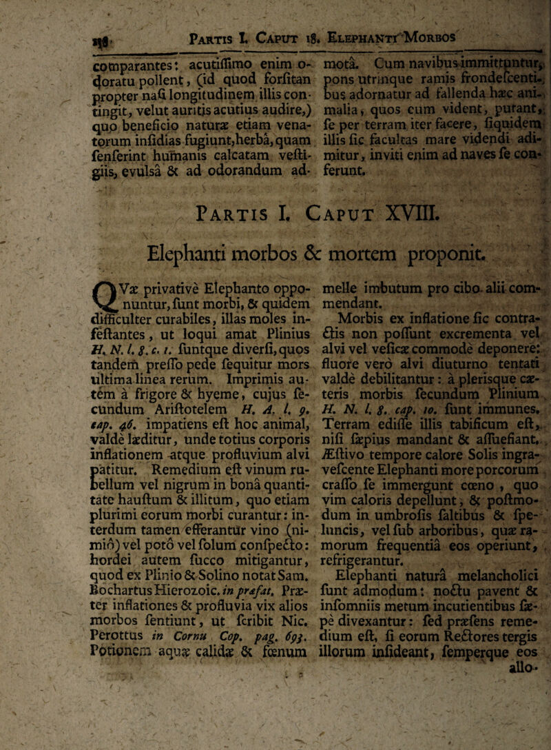 comparantes: acutillimo enim o- cjqratu pollent, (id quod forfitan propter nafi longit udinem illis con¬ tingit, velut auritis acutius audire,) qup beneficio naturae etiam vena¬ tarum infldias fugiunt,herba, quam fenferint humanis calcatam velli- giis, evulsa 6c ad odorandum ad¬ mota. Cum navibusimmitjtpntiir ponsutrinque ramis frondefcenti. bus adorpatur ad fallenda haec ani¬ malia i quos cum vident, putant,, fe per terram iter facere, fiquidenv illis fic facultas mare videndi adi¬ mitur, inviti enim ad naves fe con¬ ferunt. ^ Partis I. Caput XVIII. Elephanti morbos & mortem proponit. Vx privative Elephanto oppo- nuntur, funt morbi, & quidem difficulter curabiles, illas moles in- feftantes, ut loqui amat Plinius N. 4 8. c. u funtque diverfi,quos tandem preffo pede fequitur mors ultima linea rerum. Impriniis au¬ tem a frigore 6c hyeme, cujus fe¬ cundum Ariftotelem H. A. 4 9. eap. 46. impatiens eft hoc animal, valde Inditur, unde totius corporis inflationem -atque profluvium alvi patitur. Remedium eft vinum ru¬ bellum vel nigrum in bona quanti¬ tate hauftum & illitum, quo etiam plurimi eorum morbi curantur: in¬ terdum tamen efferantur vino (ni¬ mio) vel poto vel folum confpe&o: hordei autem fucco mitigantur, quod ex Plinio & Solino notat Sam* BochartusHierozoic/# prafat. Prae¬ ter inflationes & profluvia vix alios morbos fentiunt, ut fcribit Nic. Perottus in Cornu Cop. pag. 6p$. Potioneai aqu& calidae & fenum meile imbutum pro cibo alii com¬ mendant. Morbis ex inflatione fic contra¬ riis non poffunt excrementa vel alvi vel veficae commode deponere: fluore vero alvi diuturno tentati valde debilitantura plerisque cae- teris morbis fecundum Plinium H. N. 4 8. cap. 10. funt immunes. Terram ediffe illis tabificum eft, nifi fepius mandant & affuefiant,., .Mlivo tempore calore Solis ingra- vefcente Elephanti more porcorum craflo fe immergunt cceno , quo vim caloris depellunt , 8rpoftmo- dum in umbrofis faltibiis & fpe- luncis, velfub arboribus, quas ra¬ morum frequentia eos operiunt refrigerantur. Elephanti natura melancholici funt admodum: noftu pavent & infomniis metum incudentibus fe- pe divexantur: fed praefens reme¬ dium eft, fi eorum Reftores tergis illorum infideant, femperque eos „ v alio ■ 9 f; 1