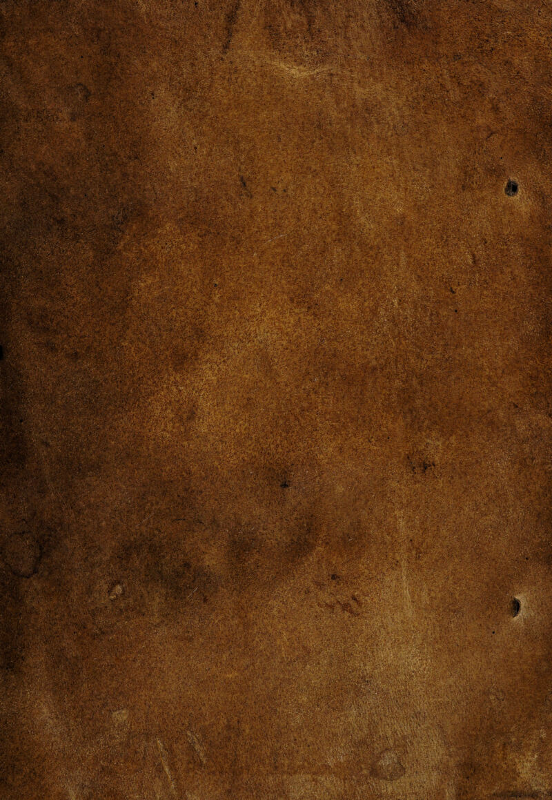 V---' K^S- - - wA.^ ' i í.c i> t \ < v*-^J -í ’ aá®^ • v)'' , , ,. .'C.