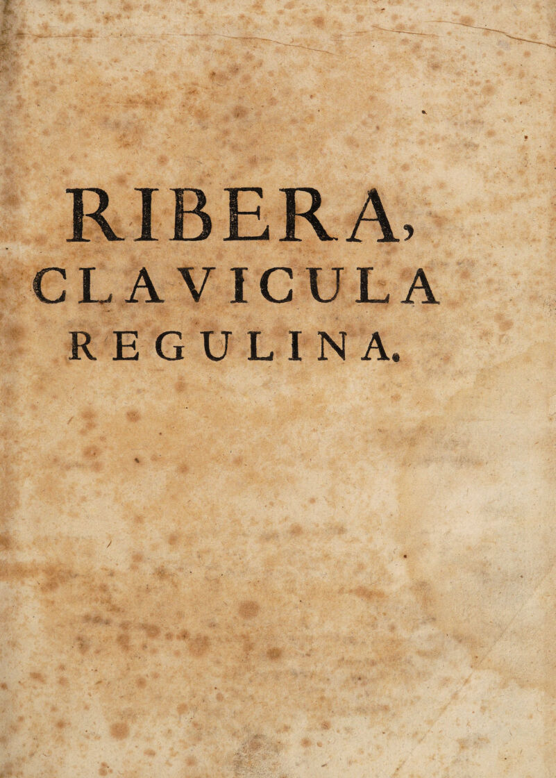 RIBERA, CLAVICULA RE GU LINA. % > ¿i - ' / - 4