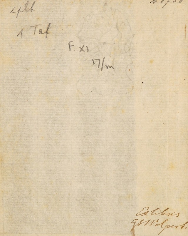 digitised image 2