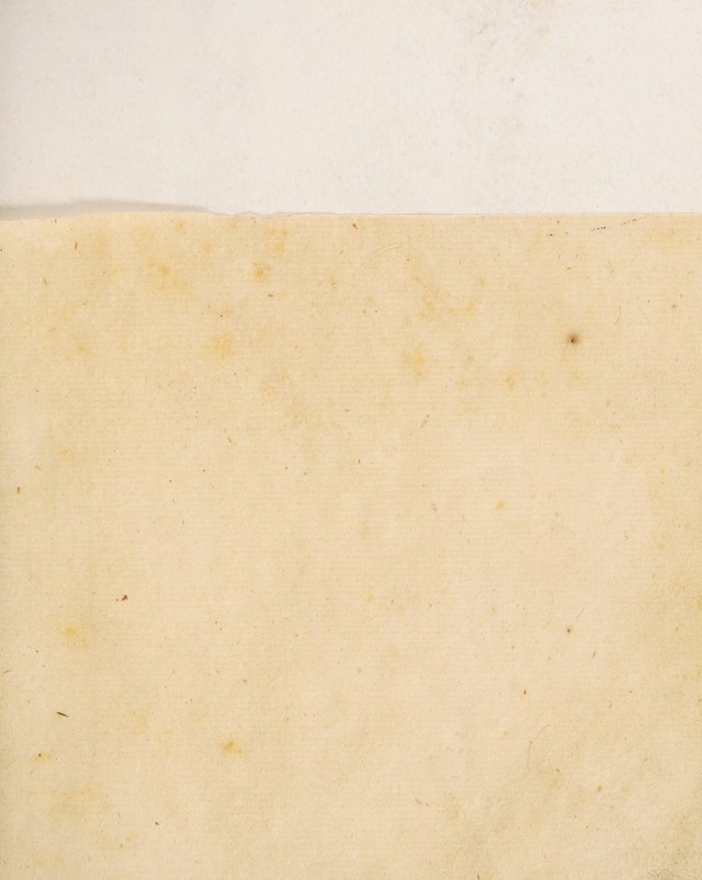 digitised image 3