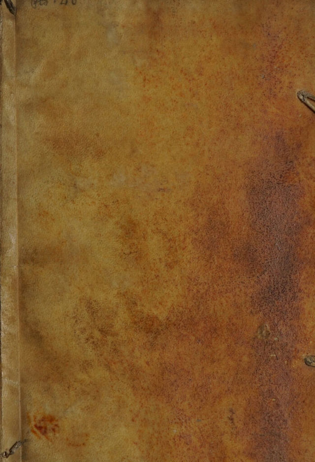 digitised image 1