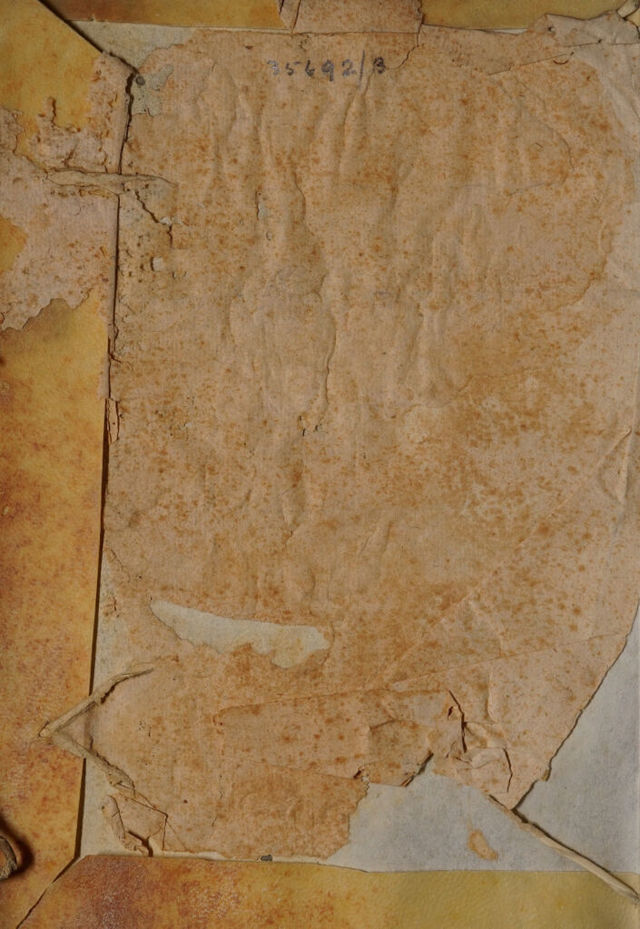 digitised image 2