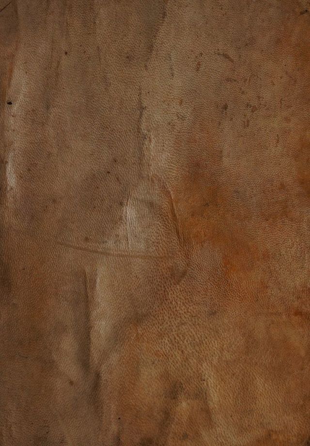 digitised image 1