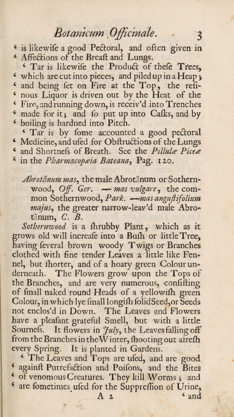 4 is likewife a good Pectoral, and often given in 4 Afte&ions of the Bread and Lungs*. 4 Tar is likewife the Pro dude of thefe Ti'ees, 4 which are cut into pieces, and piled up in a Heap $ 4 and being fet on Fire at the Top, the refi- 4 nous Liquor is driven out by the Heat of the 4 Fire, and running down, is receiv’d into Trenches 4 made for it \ and fo put up into Calks, and by 4 boiling is hardned into Pitch. 4 Tar is by fome accounted a good pedtoral 4 Medicine, and ufed for Obftrudtions of the Lungs 4 and Shortnefs of Breath. See the Pillule Piceoe 4 in the Pharmacopoeia Bateana, Pag. 120. Ahrotanum mas, the male Abrotanum or Sothern- wood, Off\ Ger. — mas ‘vulgare, the com¬ mon Sothernwood, Park. ~~~mas anguftifolium majus, the greater narrow-leav’d male Abro¬ tanum, C. B. Sothernwood is a fhrubby Plant, which as it grows old will increafe into a Bufh or little Tree, having feveral brown woody Twigs or Branches clothed with fine tender Leaves a little like Fen¬ nel, but fhorter, and of a hoary green Colour un¬ derneath. The Flowers grow upon the Tops of the Branches, and are very numerous, confiding of fmall naked round Heads of a yellowifh green Colour, in which lye fmall longifh folidSeed,or Seeds not enclos’d in Down. The Leaves and Flowers have a pleafant grateful Smell, but with a little Sournefs. It flowers in July^ the Leaves falling off from the Branches in theWinter, fliooting out atrefli every Spring. It is planted in Gardens. 4 The Leaves and Tops are ufed, and are good 4 againfi: Putrefaffcion and Poifons, and the Bites 4 of venomous Creatures. They kill Worms $ and 4 are fometimes ufed for the Suppreflion of Urine, A 2 4 and