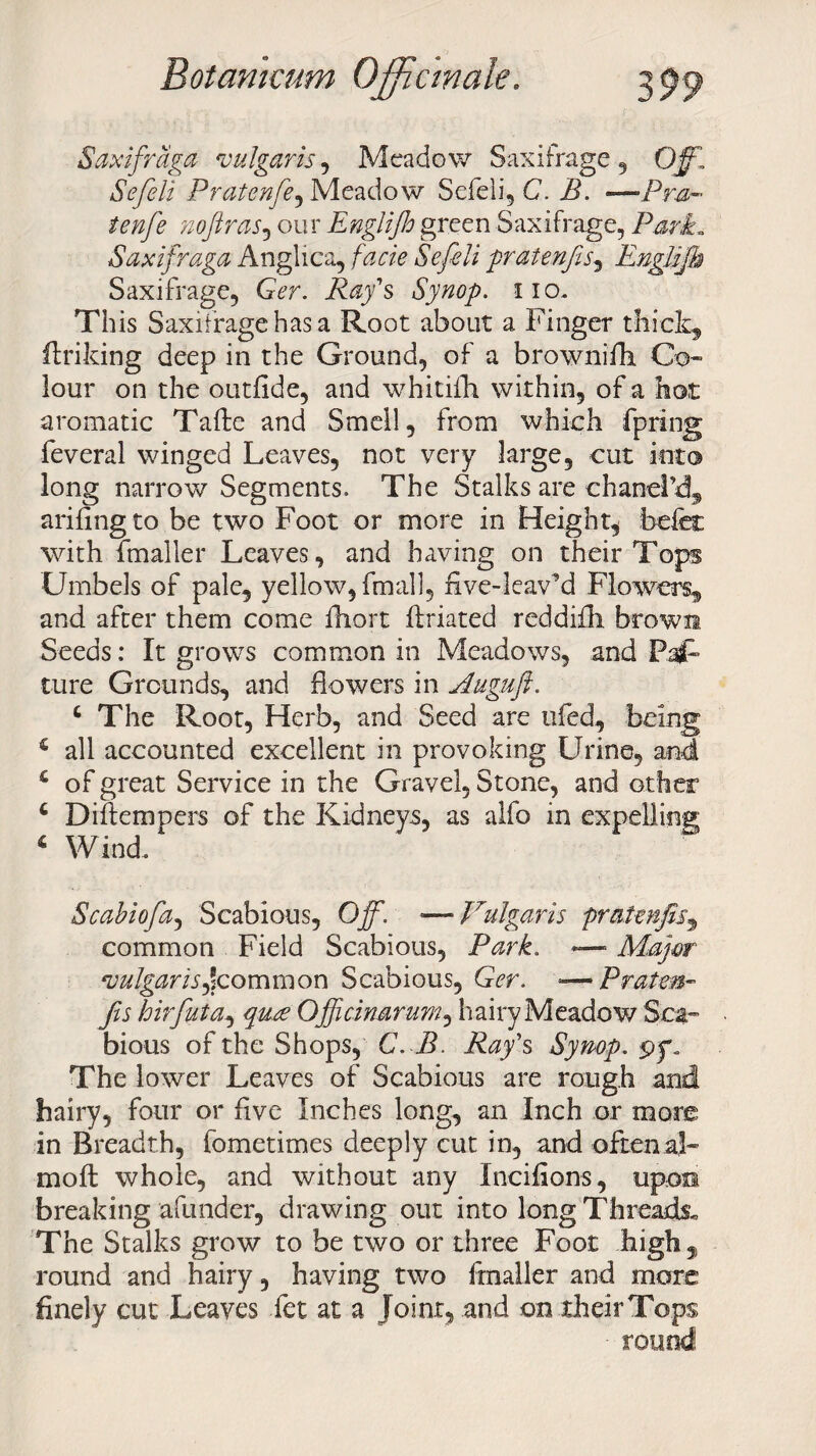 Saxifraga vulgaris , Meadow Saxifrage , Ojfl Sefeli Pratenfe^ Meadow Sefeli, C. ih -Pra- tenfe no fir as, our Engliflo green Saxifrage, Park„ Saxifraga Anglica, Sefeli pratenfis, Englifb Saxifrage, Gar. i?$/s Synop. iio. This Saxifrage has a Root about a Finger thick, ftriking deep in the Ground, of a brownifh Co¬ lour on the outfide, and whitifh within, of a hot aromatic Tafte and Smell, from which fpring feveral winged Leaves, not very large, cut into long narrow Segments. The Stalks are chanel’d, arifingto be two Foot or more in Height^ befet with {mailer Leaves, and having on their Tops Umbels of pale, yellow, final!, five-leav’d Flowers, and after them come fhort ftriated reddifh brown Seeds: It grows common in Meadows, and Paf* ture Grounds, and flowers in Auguft. 4 The Root, Herb, and Seed are ufed, being 4 all accounted excellent in provoking Urine, and 4 of great Service in the Gravel, Stone, and other 4 Diftempers of the Kidneys, as alfo in expelling 4 Wind. Scabiofa, Scabious, Off. ■—Vulgaris pratenfis9 common Field Scabious, Park. — Major •vulgaris**common Scabious, Ger. — Pratm- fis hirfuta, qua Officinarum, hairy Meadow Sca¬ bious of the Shops, C. B. Ray's Synop. py. The lower Leaves of Scabious are rough and hairy, four or five Inches long, an Inch or more in Breadth, fometimes deeply cut in, and often aL moft whole, and without any Incifions, upon breaking afimder, drawing out into long Threads* The Stalks grow to be two or three Foot high,, round and hairy, having two fmaller and more finely cut Leaves fet at a Joint, and on their Tops round