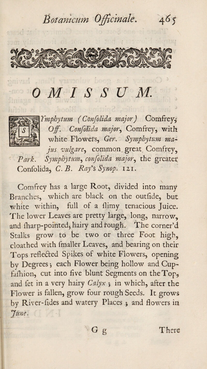 hot am cum o m i s s u M. Tmphytum (Confolida major) Gomfrey^ Off. Confolida major, Comfrey, with white Flowers, Ger. Symphytum ma- jus vulgare, common great. Comfrey5 Park. Symphytum, confolida major, the greater Confolida, C. B. Ray's Synop. izi. Comfrey has a large Root, divided into many Branches, which are black on the outfide, but white within, full of a flimy tenacious Juice. The lower Leaves are pretty large, long, narrow, and {harp-pointed* hairy and tough. The corner’d Stalks grow to be two or three Foot high, cloathed with fmaller Leaves, and bearing on their Tops refle&ed Spikes of white Flowers, opening by Degrees •, each Flower being hollow and Cup- fafhion, cut into five blunt Segments on theTop^, and let in a very hairy Calyx y in which, after the Flower is fallen, grow four rough Seeds. It grows by River-Tides and watery Places j and flowers in June. There
