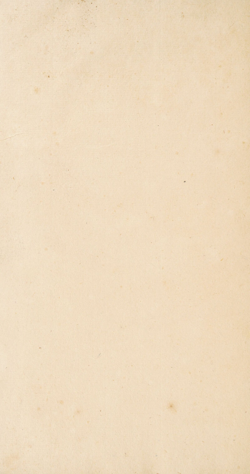 tr - .IV-' ■,■••/*■ , <- ••f ■• •V •• .'f % A I ■f*- -1 ■ .4# y ‘V \ t \ ;y- -■/ } •!•• ‘A X y % f t ■ ■ '■ . i' ' ■ '' .V \ / / /.• : \ :$rf \ t