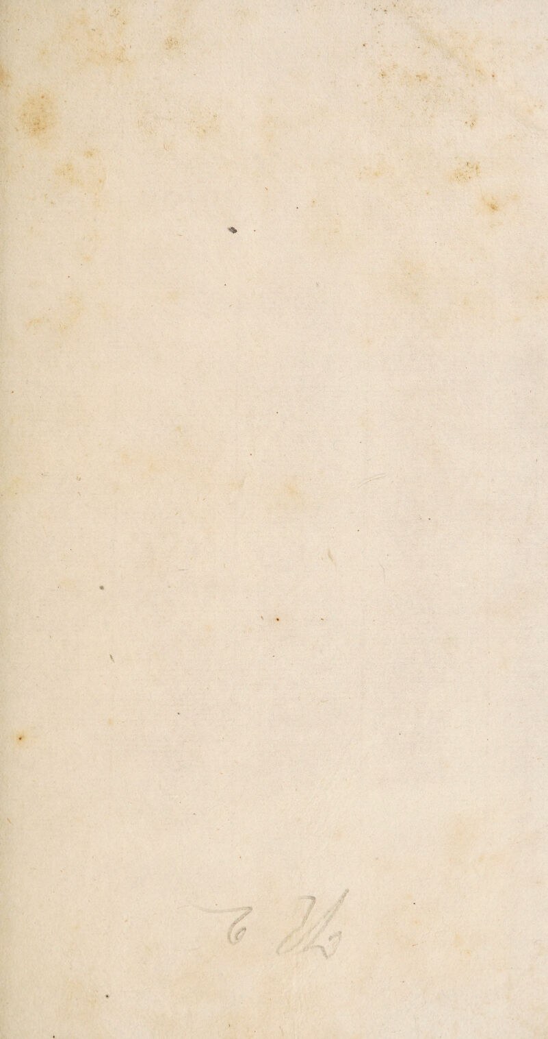 •% * '■ ■ vV.. >% ' .'•5 'J ¥ ■«r Al \ J ^ .\ t- \ \ ) *■