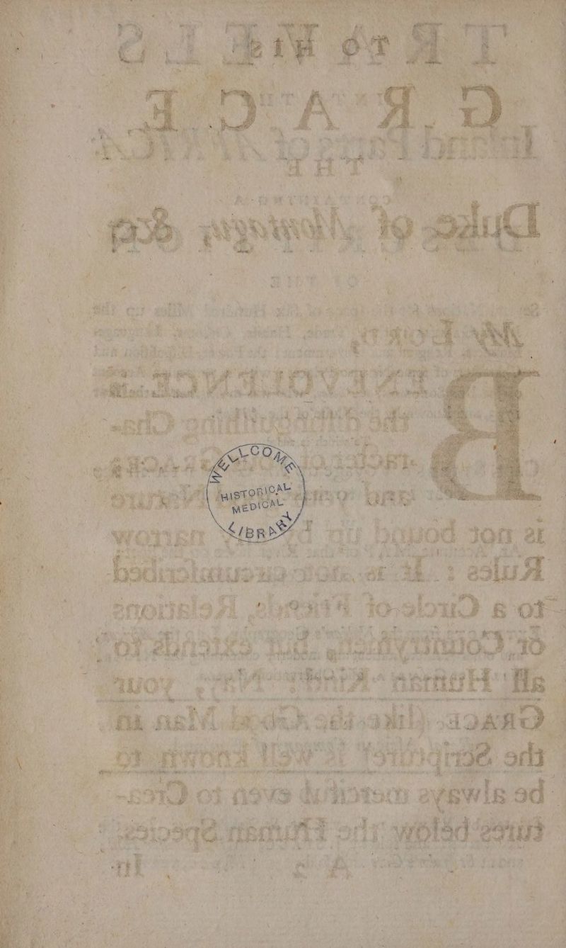 ss at 4% F ieah baa ae enor slo Fl gre? “a , oa uD s 5% Sie aT ~auo’ or ¢ anion ATA nierie serene voeitiael Taman darted whe ine pata tic , sll ber _ a a9, ie pene we Desist Mis ee Seed pale cee ek