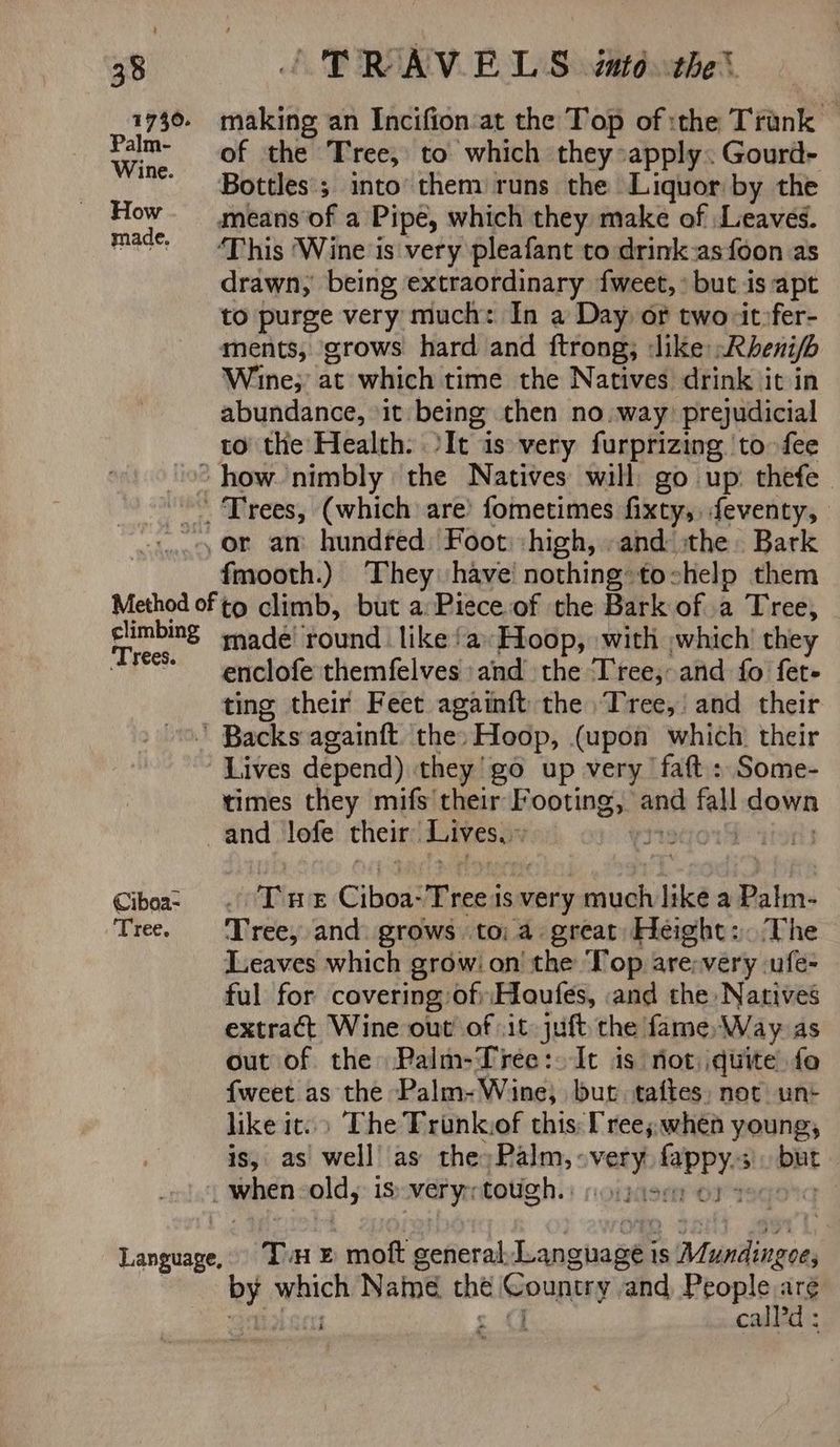 1730. Palm- Wine. How made. / TRAVELS até the’ making an Incifion'at the Top of :the Trank of the Tree, to which they apply. Gourd- Bottles; into them runs the Liquor by the drawn, being extraordinary {weet, but is apt to purge very much: In a Day of two -itpfer- ments, grows hard and ftrong, like Rheni/b Wine; acxwiselitimethe Natwed drink ‘it in abundance, ‘it being then no. way? prejudicial to the Health: It is very furprizing ‘to fee fmooth.) ‘They have: nothing: tochelp them climbing Trees. made round like ‘a:Hoop, with which they enclofe themfelves and the ‘Tree, and fo fet- ting their Feet againft the Tree, and their Ciboa- ‘Tree. Lives depend) they'go up very ‘faft : Some- times they mifs' their Footing » and fall down and lofe their Livesow 7 | Tre Ciboa: Tree is very much like a Palm. Tree, and. grows toi a great Height: The Leaves which grow: on the Top are:very .ufe- ful for covering: of; Houtes, and the Natives extract Wine out of .it: juft the fame, Way as out of the Palm-Tree:. It is not, quite fo fweet as the Palm-Wine, but. taftes) not un- like it.) The Trankwof this: Tree;.when young, is, as’ well’ as the)Palm,: ie: po bat reli Tn © moft general: haneheate is Mapdlivsons which Name the hy: ont and People arg calld ;