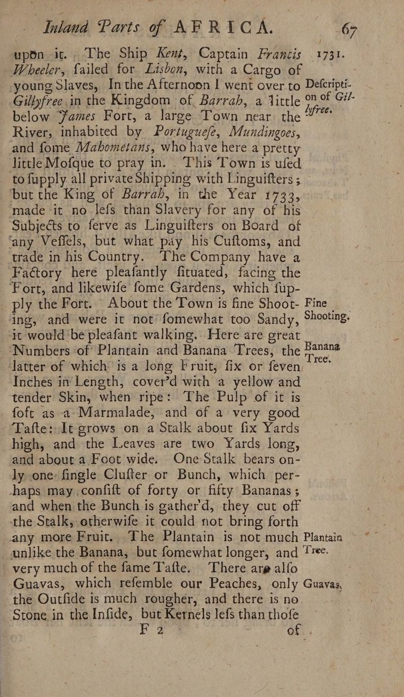 upon it. The Ship Kent, Captain Francis 1731. Wheeler, failed for Lisbon, with a Cargo of yates young Slaves, Inthe Afternoon | went over to Defcripti- Gillyfree in the Kingdom of Barrab, a little Ne below ‘ames Fort, a large Town near the %” River, inhabited by Portuguefe, Mundingoes, and fome Mabometans, who have here a pretty little Mofque to pray in. ‘This Town is ufed tofupply all privateShipping with Linguifters ; but the King of Barrah, in the Year 1733, made it no lefs than Slavery for any of his Subjects to ferve as Linguifters on Board of ‘any Veffels, but what pay his Cuftoms, and trade in his Country. ‘he Company have a Factory here pleafantly fituated, facing the Fort, and likewife fome Gardens, which fup- ply the Fort. About the Town is fine Shoot- Fine ing, and were it not’ fomewhat too Sandy, Shooting. it would be pleafant walking. Here are great _ Numbers ‘of Plantain and Banana Trees, the B@nane latter of which is a long Fruit, fix or feven, a Inches in Length, cover’d with a yellow and tender Skin, when ripe: The Pulp of it is - foft as a Marmalade, and of a very good -“‘Fafte: It grows on a Stalk about fix Yards high, and the Leaves are two Yards long, and about a Foot wide. One Stalk bears on- ly one: fingle Clufter or Bunch, which per- haps may .confift of forty or fifty Bananas ; and when the Bunch is gather'd, they cut off tthe Stalk, etherwife it could not bring forth unlike the Banana, but fomewhat longer, and !¥. _very much of the fame Tafte. There are alfo Guavas, which refemble our Peaches, only Guavas, the Outfide is much rougher, and there is no Stone in the Infide, my Kernels lefs than thofe a8 : of .