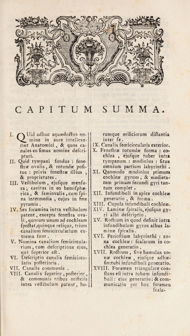 mine in aure intellexe¬ rint Anatomici , & quos ca¬ nales eo fimus nomine defcri- pturi. II. Quid tympani fundus : fene- ftrae ovalis, & rotundae pofi- tus : pelvis fenertrse illius , & proprietates . III. Vertibulum , ejufque menfu- ra; cavitas in eo hemifphae- rica, & femiovalis, cum fpi- na intermedia , cujus in fine pyramis . IV. Sex foramina intra vertibulum patent, excepta fenertra ova¬ li , quorum unum ad cochleam fpefiat,quinque reliqua, trium canalium femicircularium ex¬ trema funt . V. Nomina canalium femicircula¬ rium , cum defcriptione ejus, qui fu perior eft . VI. Defcriptio canalis femicircu- laris pofterioris . VII. Canalis communis . VIII. Canalis fuperior, porterior, & communis tribus orificiis intra vertibulum patent, ho- inter fe . IX. Canalis femicircularis exterior. X. Fenellrae rotundas forma : co¬ chlea , ejufque tuber intra tympanum : modiolus : litus omnium partium labyrinthi . XI. Quomodo modiolus primum cochleas gyrum , & medieta¬ tem primam fecundi gyri tan¬ tum complet . XII. Infundibuli in apice cochleae generatio , & forma . XIII. Cupula infundibuli cochleae. XIV. Laminae fpiralis, ejufque gy¬ ri albi defcriptio . XV. Rortrum in quod definit intra infundibulum gyrus albus la¬ minae fpiralis. XVI. Perioftium labyrinthi : zo¬ na cochleae: fcalarum in co¬ chlea generatio . XVII. Rortrum, live hamulus zo¬ nae cochleae , ejufque adhae- fio:tubi infundibuli generatio. XVIII. Foramen triangulare con¬ flans eil intra tubum infundi¬ buli : ejus generario : & com¬ municatio per hoc foramen fcala-