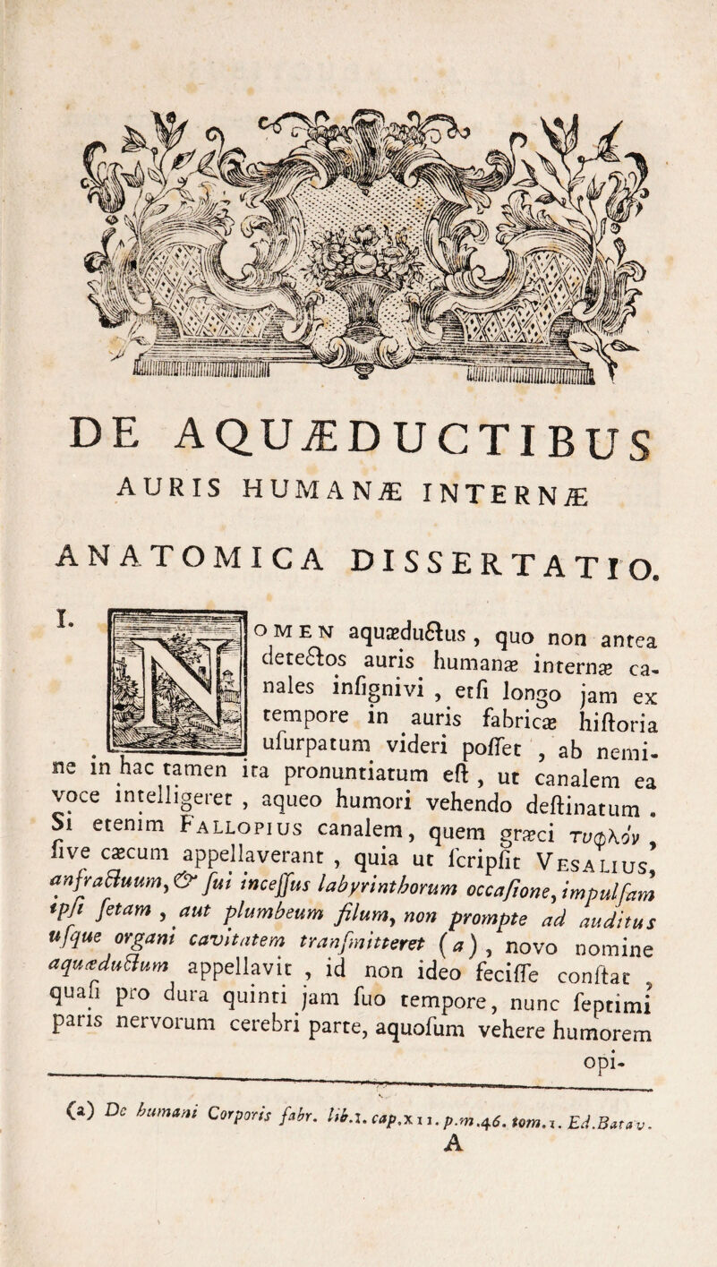 DE AQUEDUCTIBUS AURIS HUMANI INTERNjE ANATOMICA DISSERTATIO. omen aquaedu&us, quo non antea dete&os auris humanas internas ca¬ nales infignivi , etfi longo jam ex tempore in auris fabrica; hiftoria ufurpatum videri pollet , ab nemi¬ ne m hac tamen ita pronuntiatum eft , ut canalem ea voce intelligeret , aqueo humori vehendo deftinatum . Si etenim Fallopius canalem, quem grasci tuqAov , live cascum appellaverant , quia ut fcriplit Vesauus anfraBuum,& fui incejfus labyrinthorum occafionefimpulfam tpjt fetam, aut plumbeum filum, non prompte ad auditus ufque orgam cavitatem tranfnitteret (a), novo nomine aqureduBum appellavit , id non ideo feciffe conftat . quali pro dura quinti jam fuo tempore, nunc feptimi paris nervorum cerebri parte, aquofum vehere humorem (a) Dc humum Corporis fabr. liba, cap.xj i.p.m.tf. tom.i. EJ.Batav. A