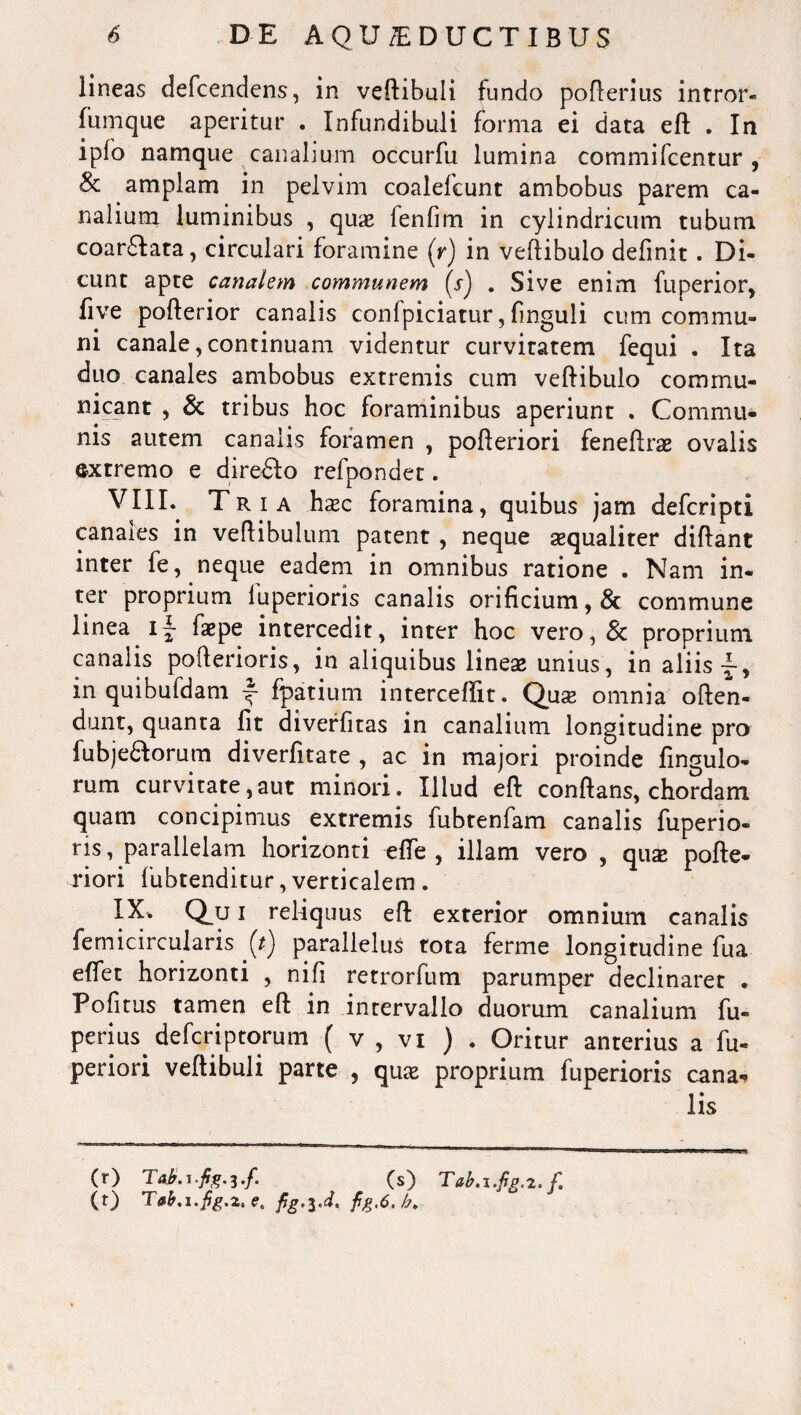 lineas defcendens, in veftibuli tundo pofterius intror- fumque aperitur . Infundibuli forma ei data eft . In ipfo namque canalium occurfu lumina commifcentur , & amplam in pelvim coalefcunt ambobus parem ca¬ nalium luminibus , quae fenfim in cylindricum tubum coar&ata, circulari foramine (r) in vertibulo definit. Di¬ cunt apte canalem communem (s) . Sive enim fuperior, five pofterior canalis confpiciatur, finguli cum commu¬ ni canale, continuam videntur curvitatem fequi . Ita duo canales ambobus extremis cum vertibulo commu¬ nicant , & tribus hoc foraminibus aperiunt . Commu¬ nis autem canalis foramen , pofteriori feneftrae ovalis extremo e diredfo refpondet. VIII. Tria haec foramina, quibus jam defcripti canaies in vertibulum patent , neque aequaliter dirtant inter fe, neque eadem in omnibus ratione . Nam in¬ ter proprium luperioris canalis orificium, & commune linea i\ faepe intercedit, inter hoc vero,& proprium canalis pofterioris, in aliquibus lineae unius, in aliis in quibufdam ^ fpatium intercertit. Quae omnia often- dunt, quanta fit diveffitas in canalium longitudine pro fubjediorum diverfitate , ac in majori proinde fingulo- rum curvitate,aut minori. Illud eft conftans, chordam quam concipimus extremis fubtenfam canalis fuperio- ris, parallelam horizonti efie , illam vero , qiue pofte¬ riori fubtenditur, verticalem. IX. Qu i reliquus eft exterior omnium canalis fernicircularis (t) parallelus tota ferme longitudine fua effet horizonti , ni fi retrorfum parumper declinaret . Pofitus tamen eft in intervallo duorum canalium fu- perius defcriptorum ( v , vi ) . Oritur anterius a fu- periori vertibuli parte , qua> proprium fuperioris cana* lis (r) T Ab. i -fig. 3./. (s) Tab.i.fig.z. f. (t) Tab.i.ftg.z. e. fig.i.d, fg,6. /a