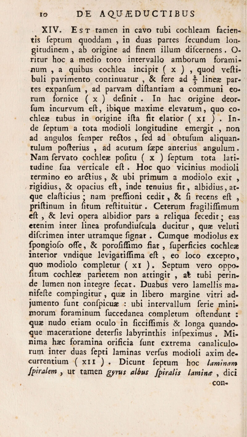 ♦ - XIV. Est tamen in cavo tubi cochleam facien- tis feptum quoddam , in duas partes fecundum lon¬ gitudinem , ab origine ad finem illum difcernens. O- ritur hoc a medio toto intervallo amborum forami¬ num , a quibus cochlea incipit ( x ) , quod verti¬ buli pavimento continuatur , & fere ad f lines par¬ tes expanfum , ad parvam diftantiam a communi eo¬ rum fornice ( x ) definit . In hac origine deor- fum incurvum eft, ibique maxime elevatum, quo co¬ chleae tubus in origine ifta fit elatior ( xi ) . In¬ de feptum a tota modioli longitudine emergit , non ad angulos femper re&os , fed ad obtufum aliquan- tulum pofterius , ad acutum faepe anterius angulum. Nam fervato cochleae pofitu ( x ) feptum tota lati¬ tudine fua verticale eft . Hoc quo vicinius modioli termino eo ar&ius , & ubi primum a modiolo exit , rigidius, & opacius eft, inde tenuius fit, albidius, at¬ que elafticius • nam preflioni cedit, & fi recens eft , priftinum in fitum reftituitur . Ceterum fragiliffimum eft , & levi opera albidior pars a reliqua fecedit; eas etenim inter linea profundiufcula ducitur , quae veluti difcrimen inter utramque fignat . Cumque modiolus ex fpongiofo orte, & porofiffimo fiat , fuperficies cochleae interior vndique levigatiflima eft , eo loco excepto, quo modiolo completur ( xi ) . Septum vero oppo- fitum cochleae parietem non attingit , a% tubi perin¬ de lumen non integre fecat. Duabus vero lamellis ma- nifefte compingitur , quae in libero margine vitri ad¬ jumento funt confpicuae : ubi intervallum ferie mini¬ morum foraminum fuccedanea completum oftendunt : quae nudo etiam oculo in ficciflimis & longa quando¬ que maceratione, deterfis labyrinthis infpeximus . Mi¬ nima, haec foramina orificia funt extrema canaliculo¬ rum inter duas fepti laminas verfus modioli axim de¬ currentium ( xii ) . Dicunt feptum hoc laminam /piralem , ut tamen gyrus Mus fpiralis lamina , dici con-